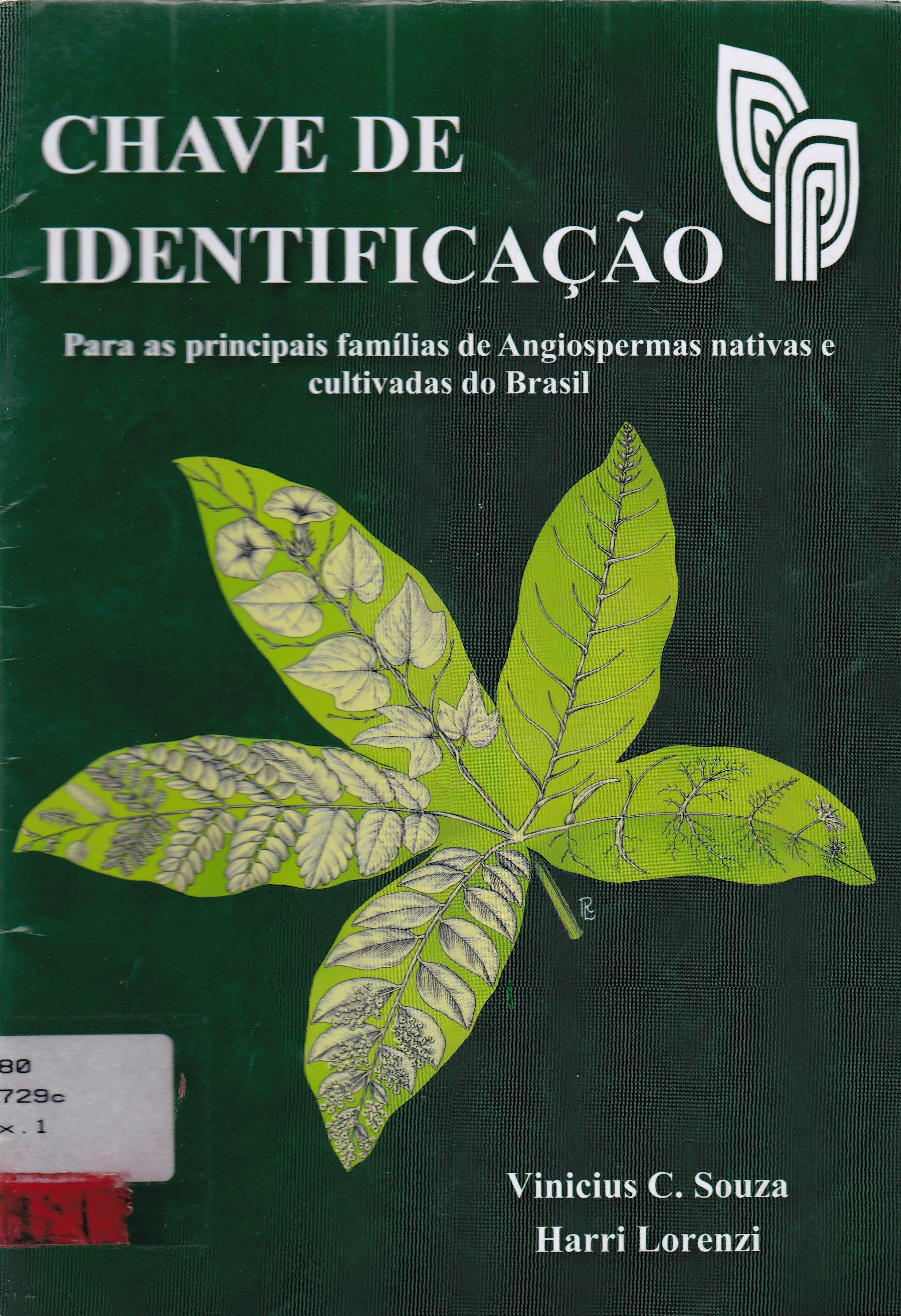 CHAVE DE IDENTIFICAÇÃO: PARA AS PRINCIPAIS FAMÍLIAS DE ANGIOSPERMAS NATIVAS E CULTIVADAS DO BRASIL
