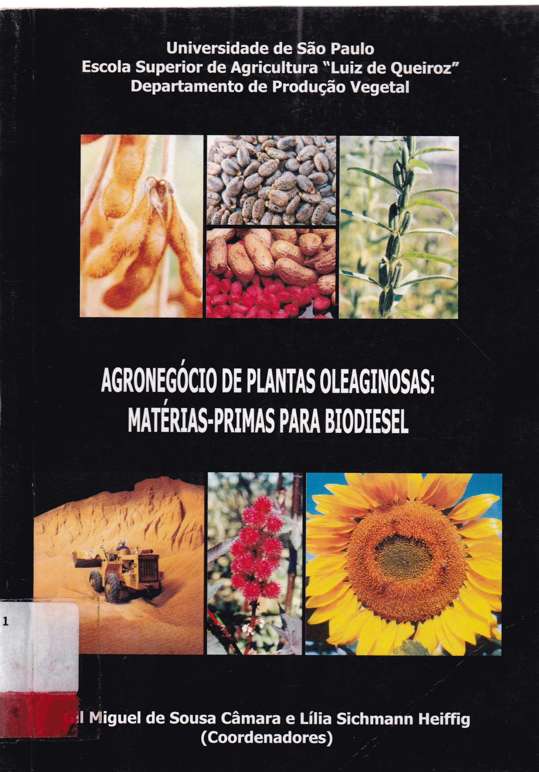 AGRONEGÓCIO DE PLANTAS OLEAGINOSAS: MATÉRIAS-PRIMAS PARA BIODIESEL