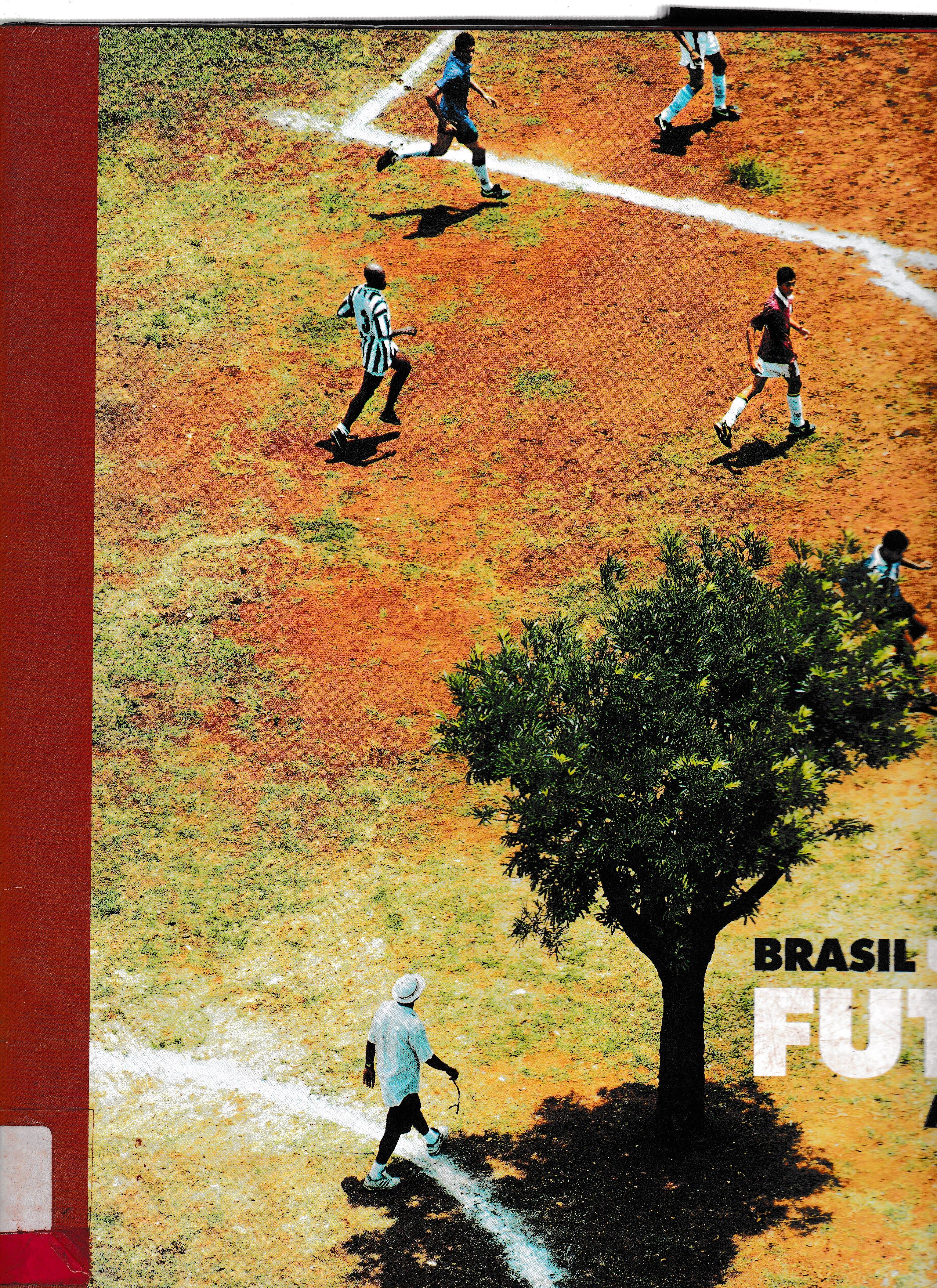 BRASIL UM SÉCULO DE FUTEBOL ARTE E MAGIA