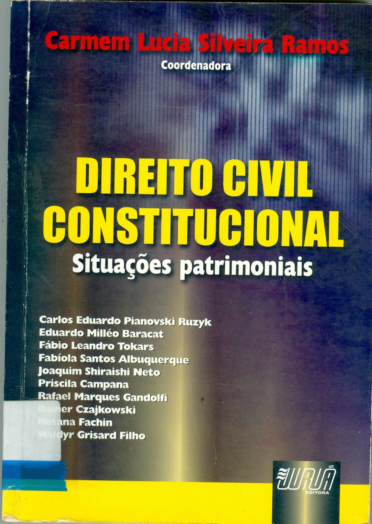 DIREITO CIVIL CONSTITUCIONAL: SITUAÇÕES PATRIMONIAIS