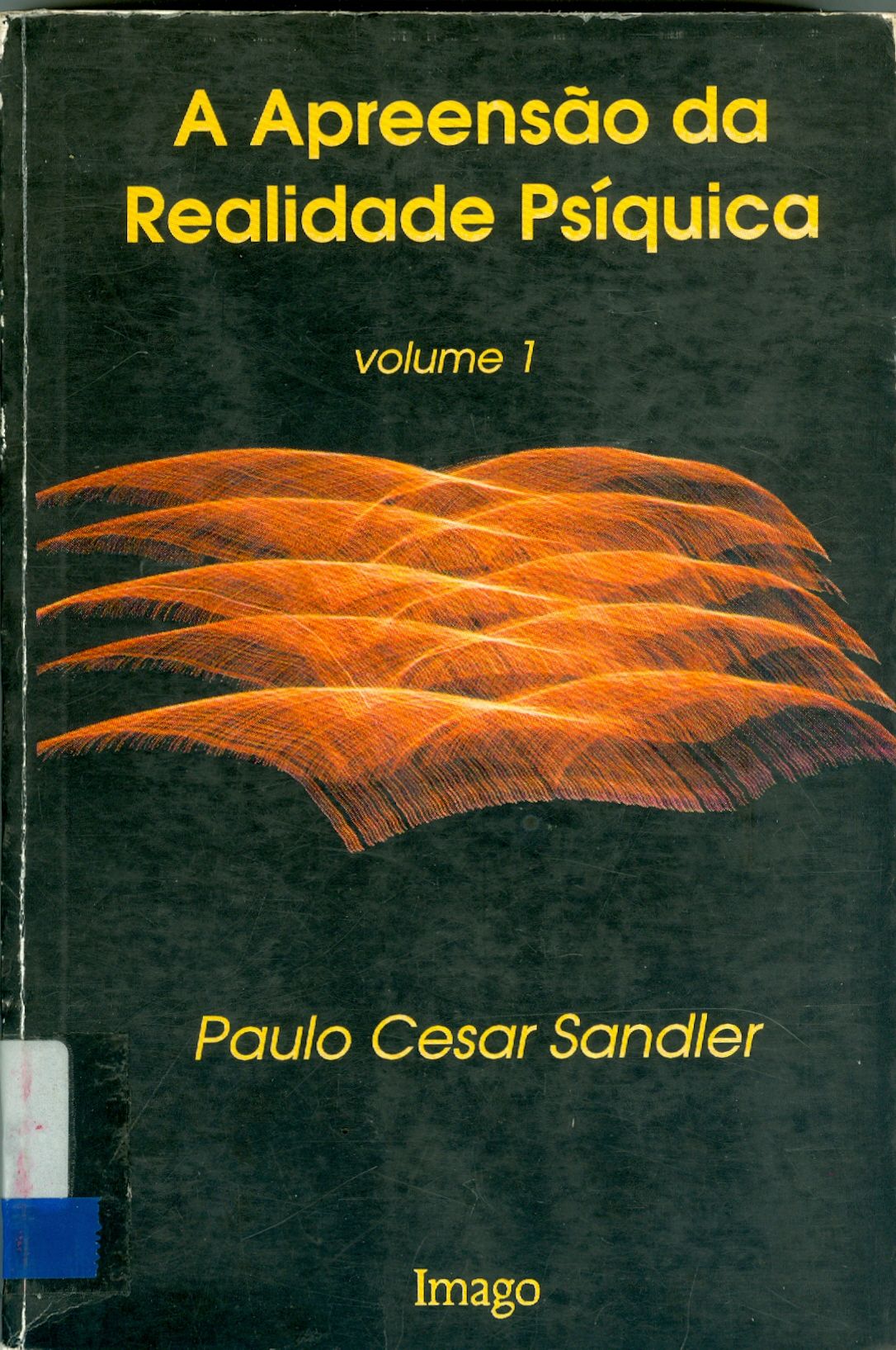 APREENSÃO DA REALIDADE PSÍQUICA, A