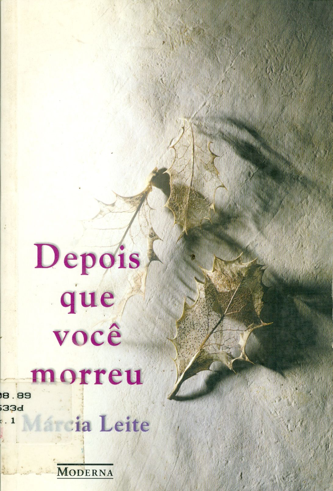 DEPOIS QUE VOCÊ MORREU