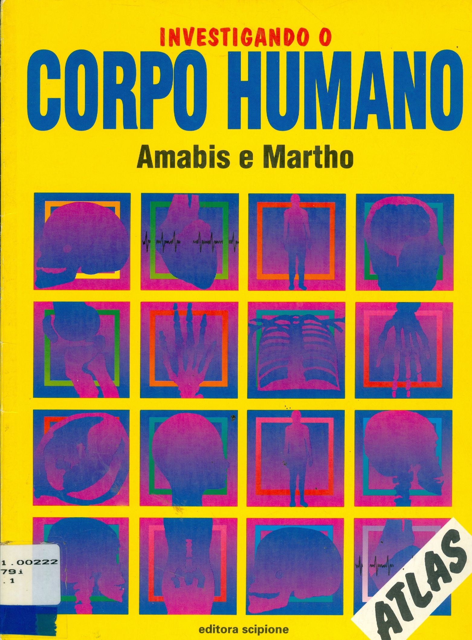 INVESTIGANDO O CORPO HUMANO