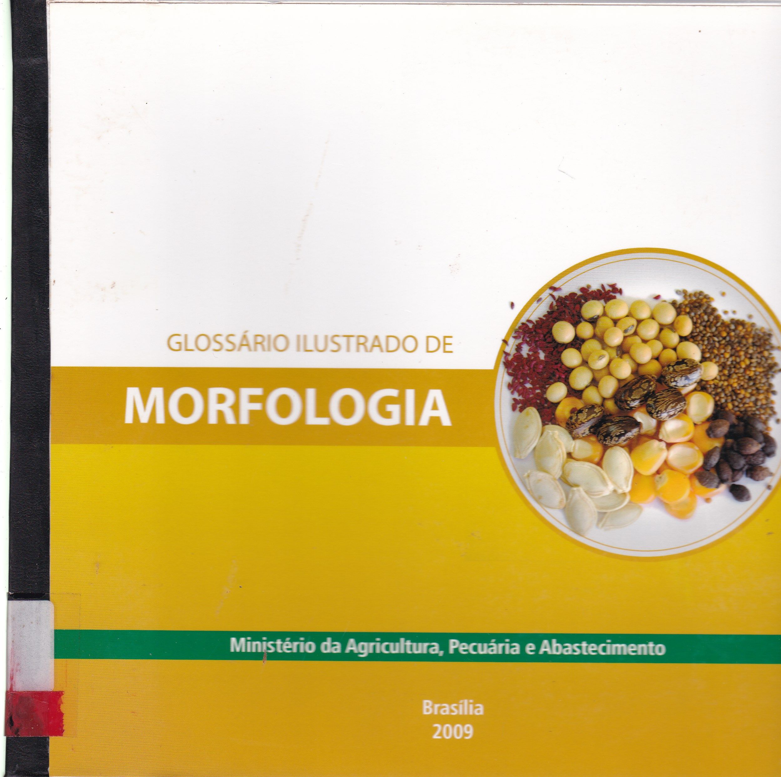 GLOSSÁRIO ILUSTRADO DE MORFOLOGIA