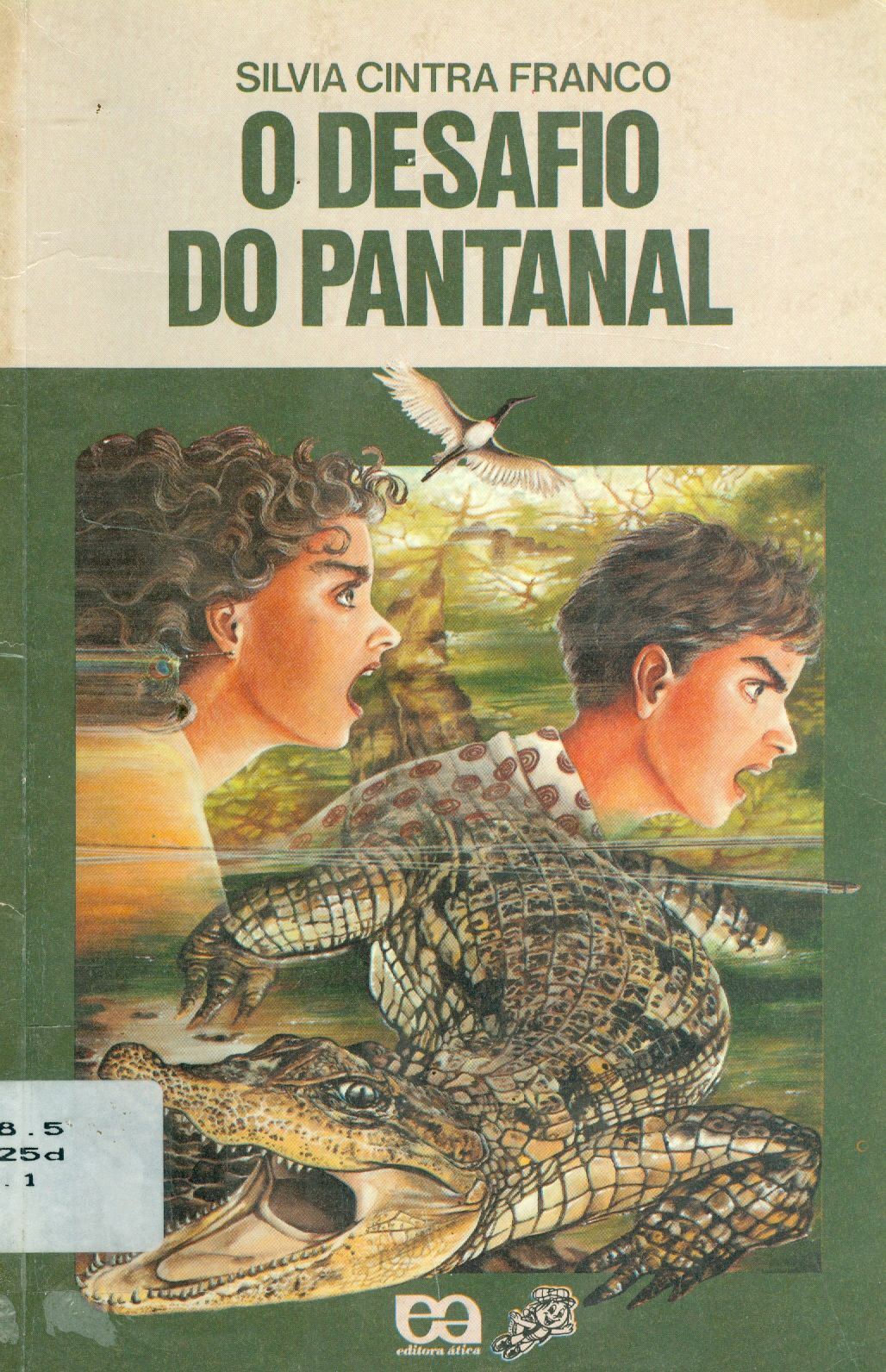 O DESAFIO DO PANTANAL