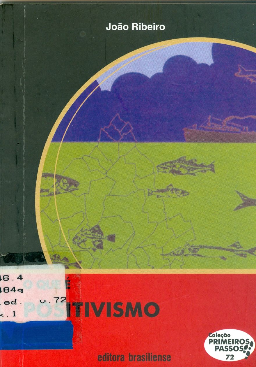 QUE É POSITIVISMO, O