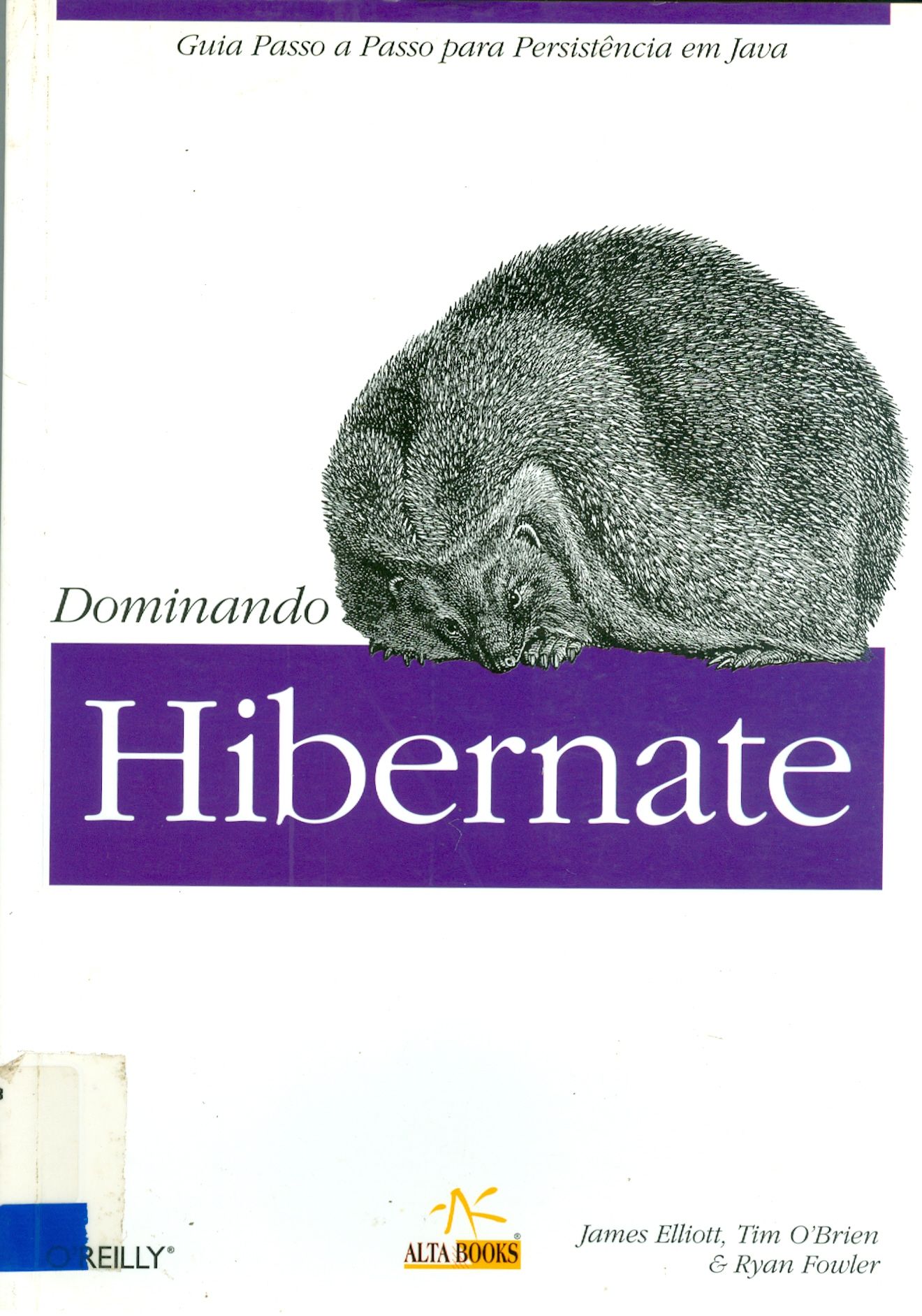 DOMINANDO HIBERNATE