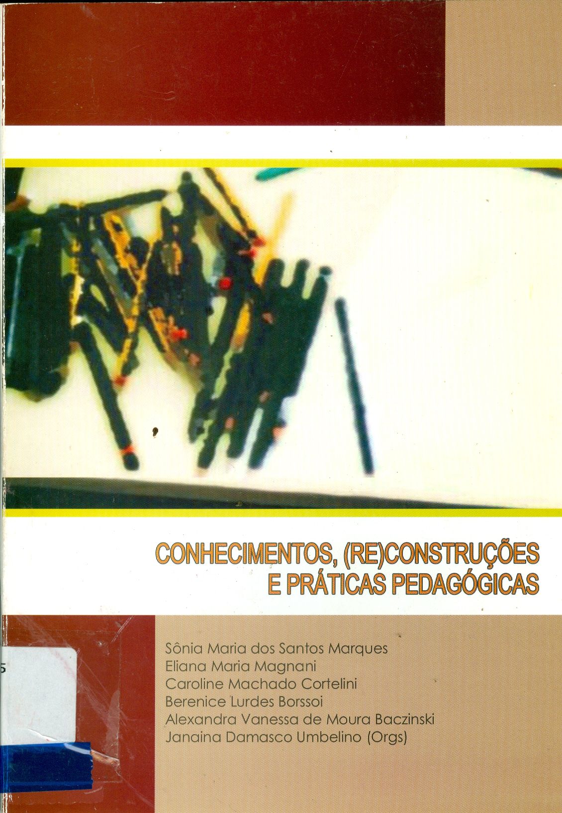 CONHECIMENTOS, (RE)CONSTRUÇÕES E PRÁTICAS PEDAGÓGICAS