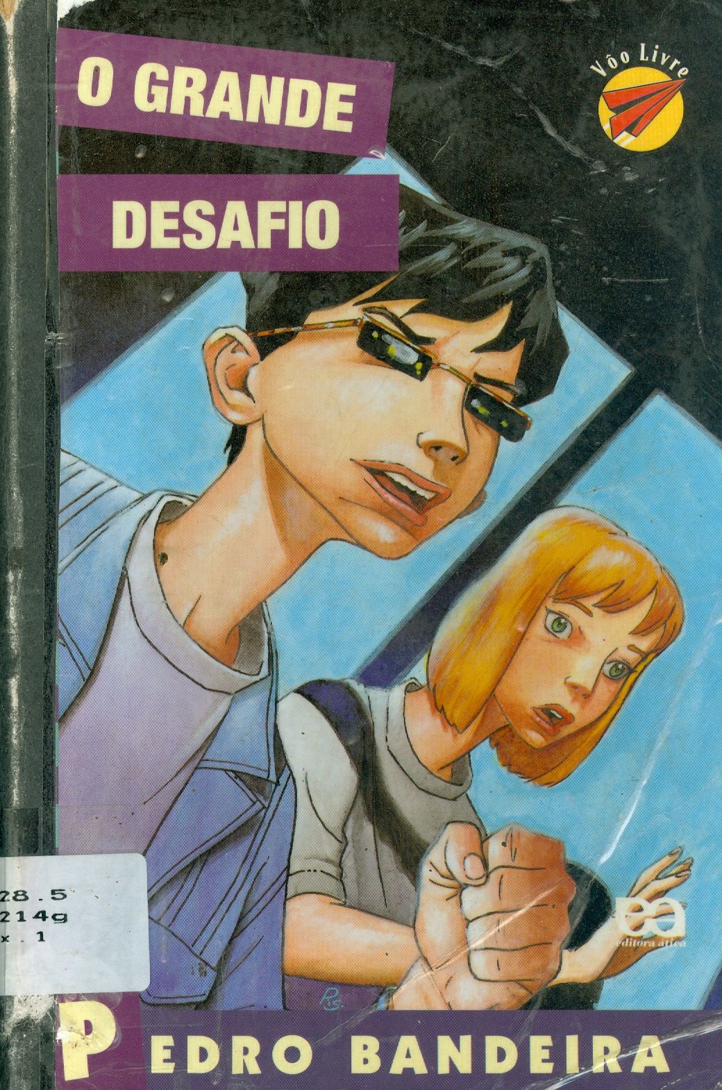 O GRANDE DESAFIO