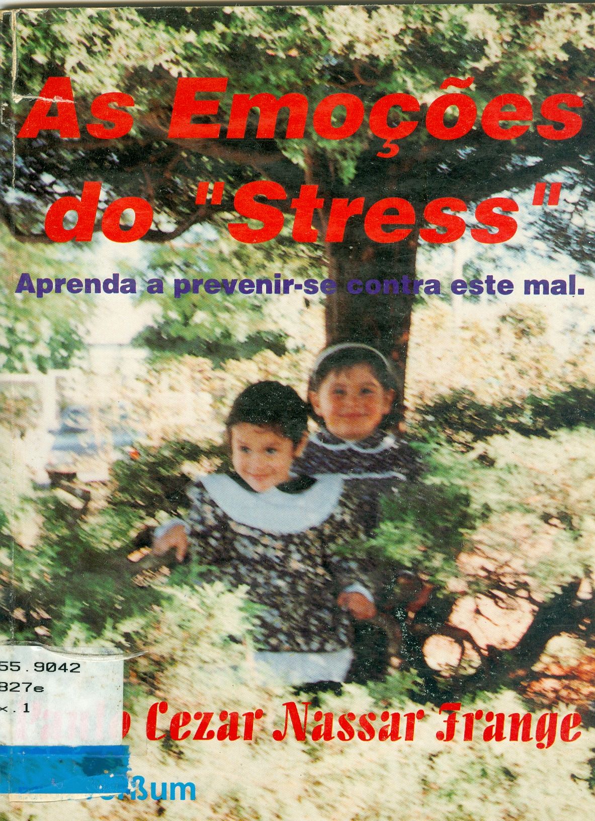 AS EMOÇÕES DO STRESS: APRENDA A PREVENIR-SE CONTRA ESTE MAL