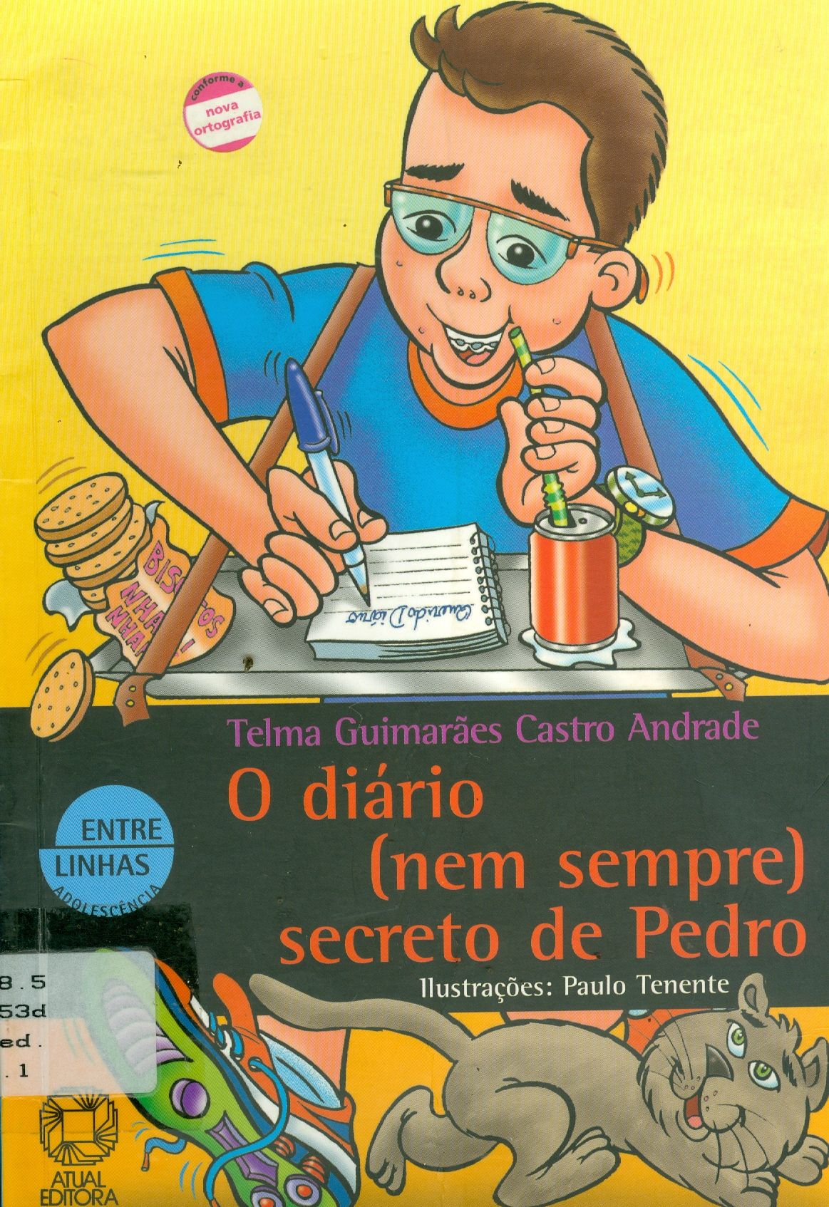 DIÁRIO (NEM SEMPRE) SECRETO DE PEDRO, O