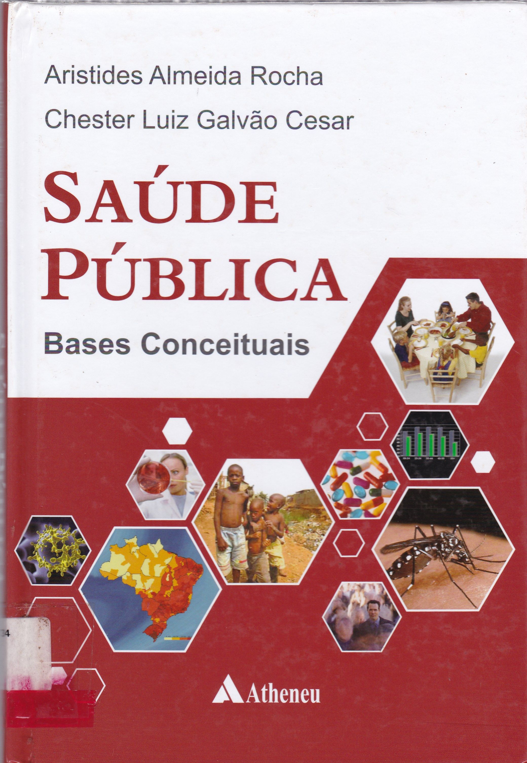 SAÚDE PÚBLICA: BASES CONCEITUAIS