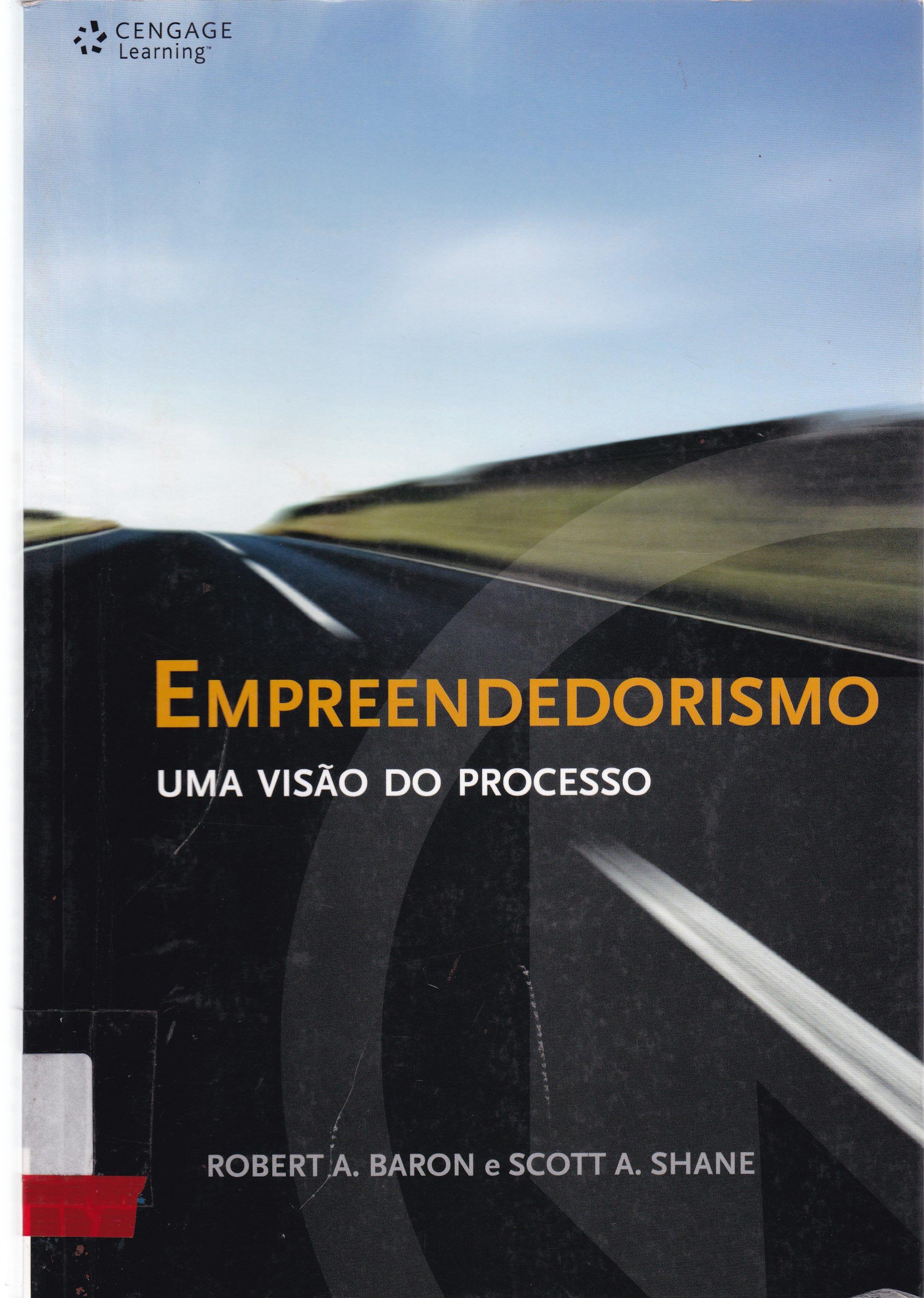 EMPREENDEDORISMO: UMA VISÃO DO PROCESSO