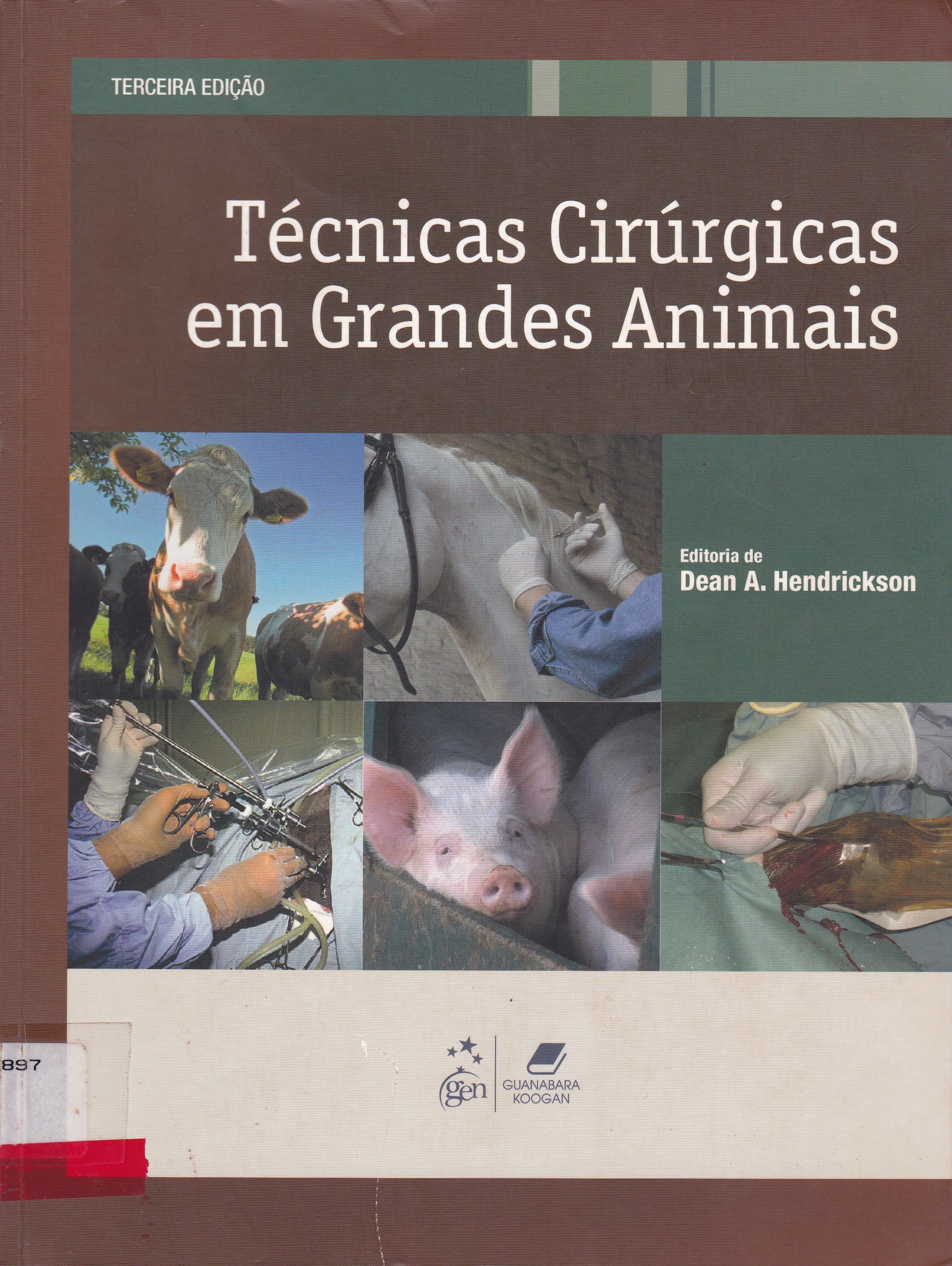 TÉCNICAS CIRÚRGICAS EM GRANDES ANIMAIS