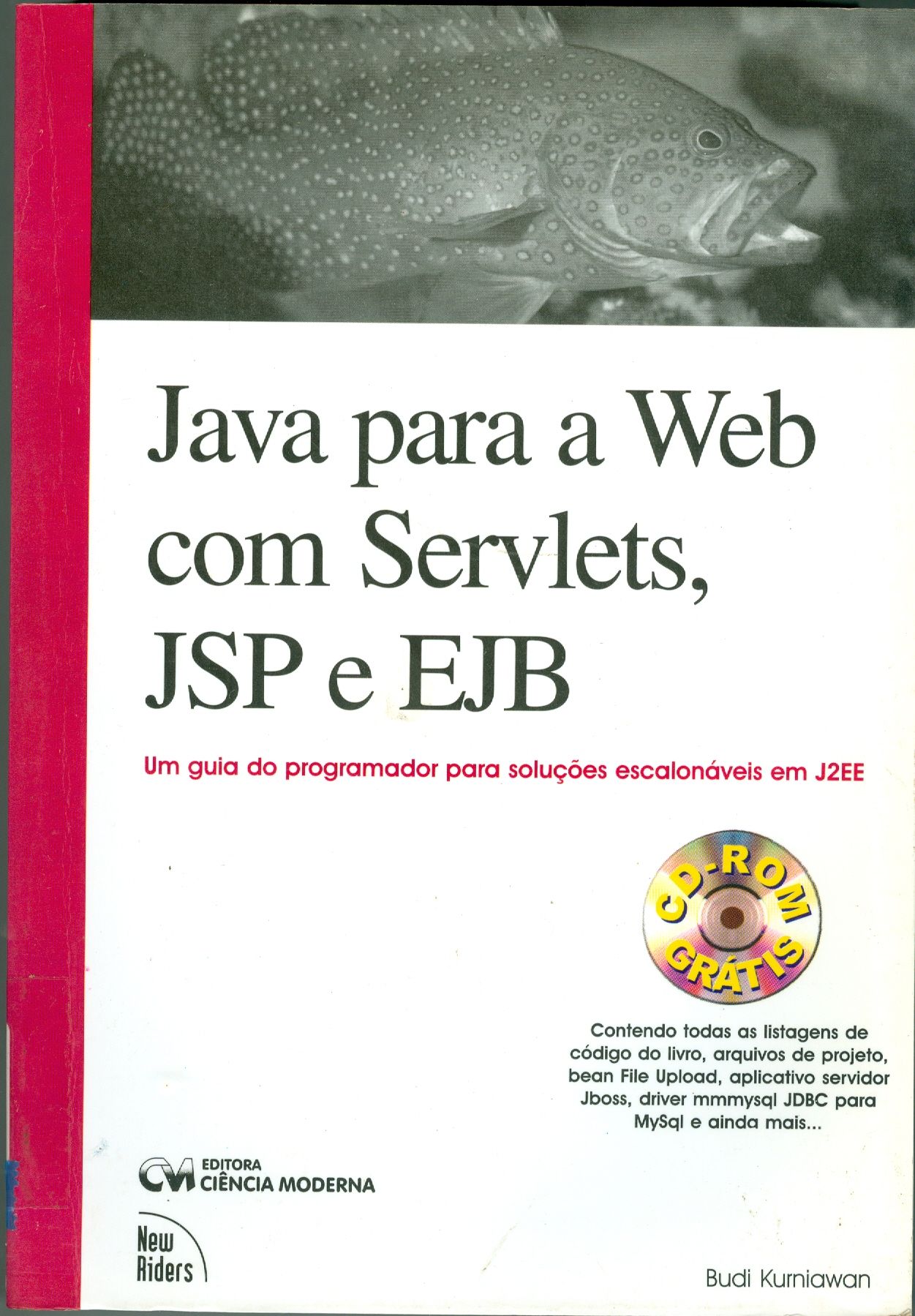 JAVA PARA WEB COM SERVLETS, JSP E EJB: UM GUIA DO PROGRAMADOR PARA SOLUÇÕES ESCALONÁVEIS EM J2EE