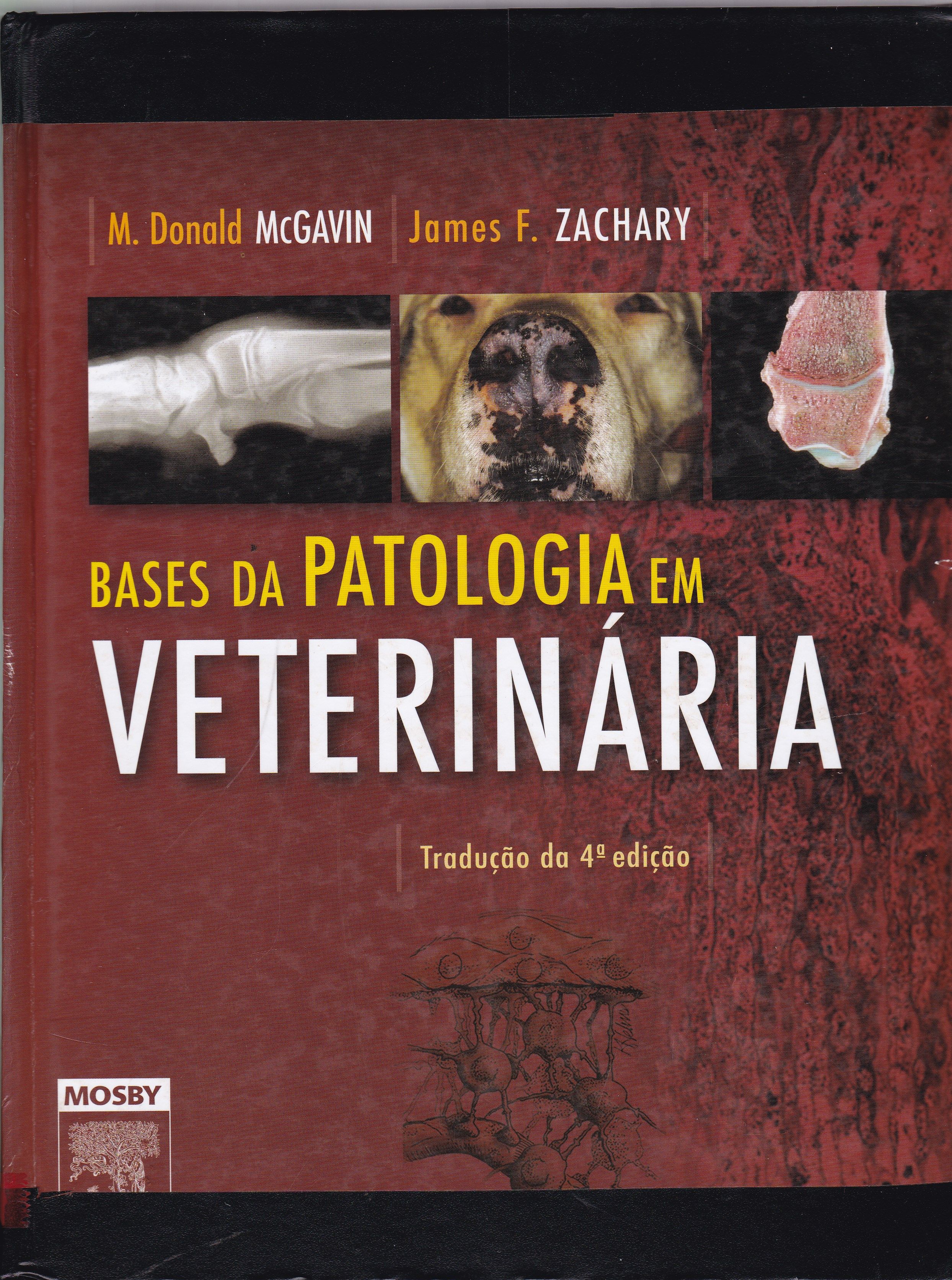 BASES DA PATOLOGIA EM VETERINÁRIA