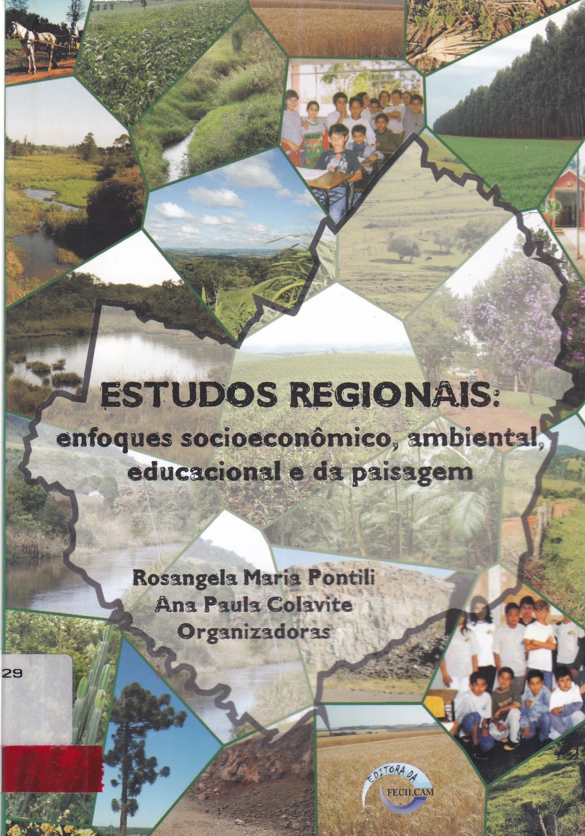 ESTUDOS REGIONAIS: ENFOQUES SOCIOECONÔMICO, AMBIENTAL, EDUCACIONAL E DA PAISAGEM
