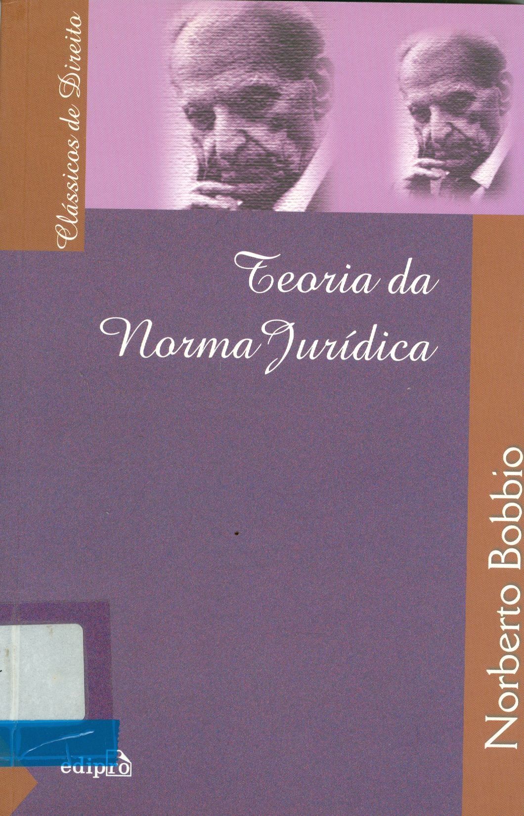 TEORIA DA NORMA JURÍDICA