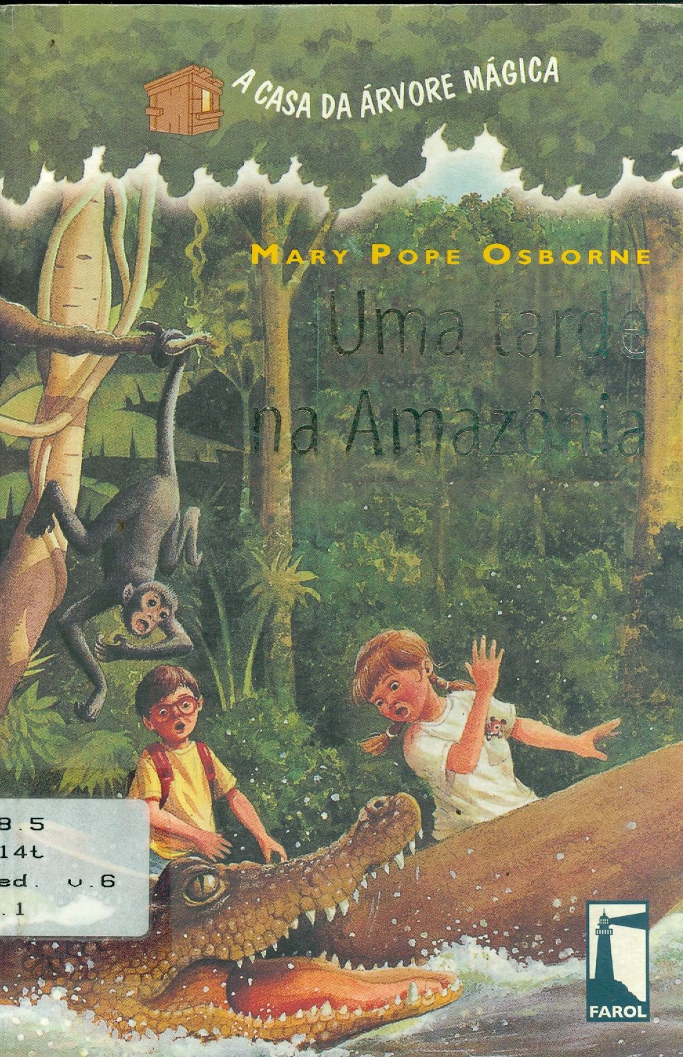 TARDE NA AMAZÔNIA, UMA