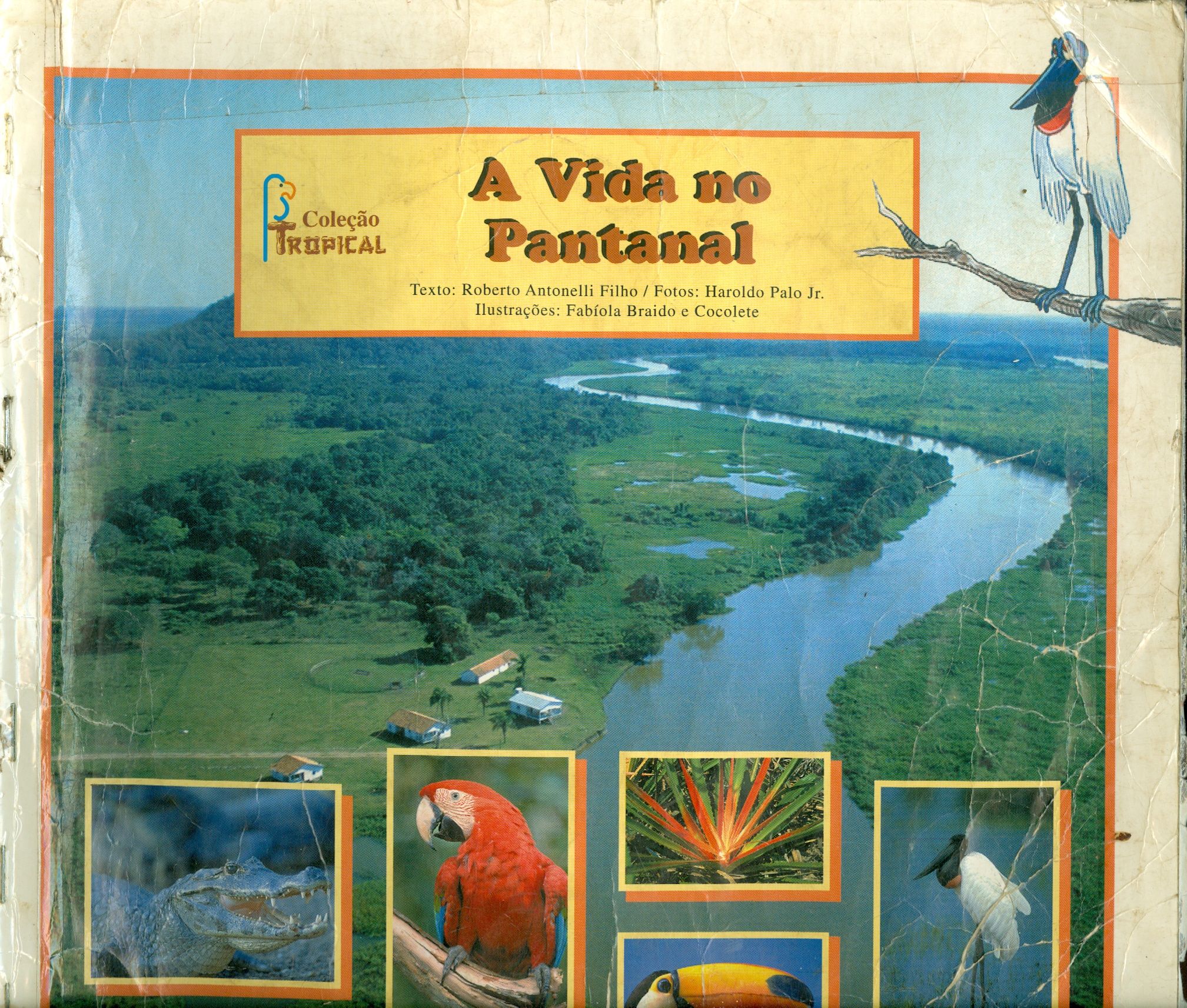 A VIDA NO PANTANAL