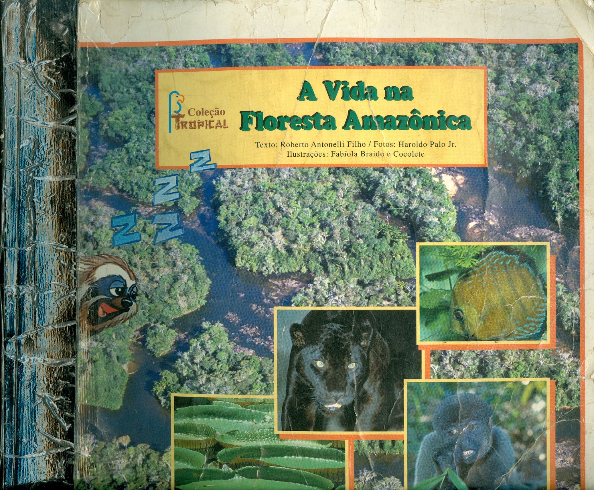 A VIDA NA FLORESTA AMAZÔNICA