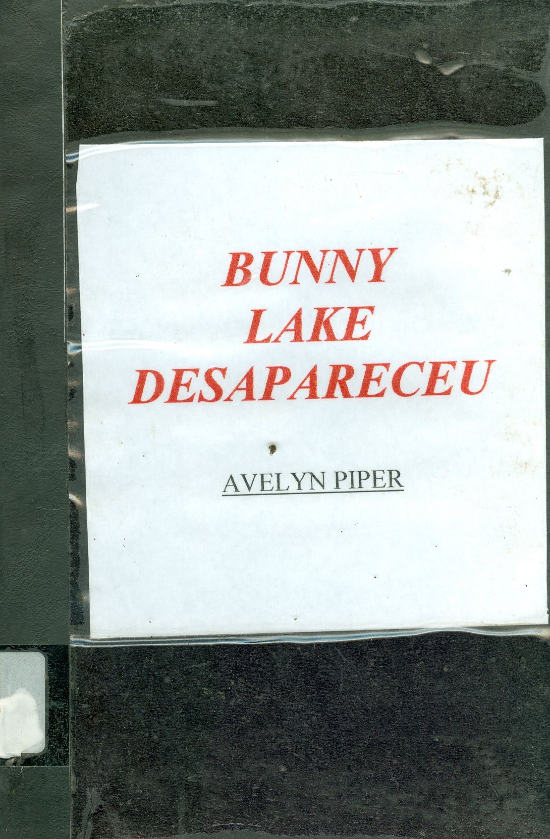 BUNNY LAKE DESAPARECEU