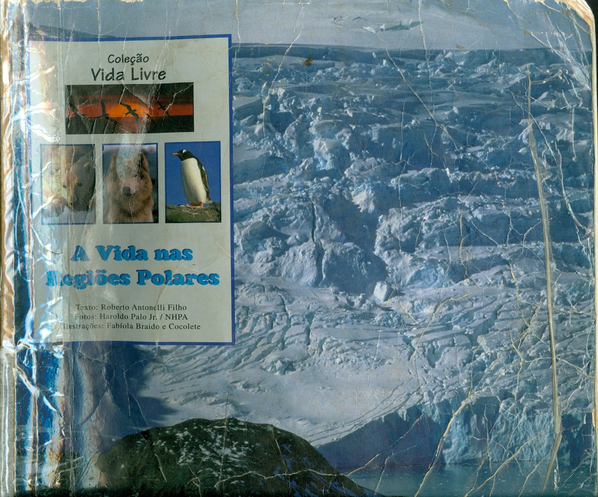A VIDA NAS REGIÕES POLARES