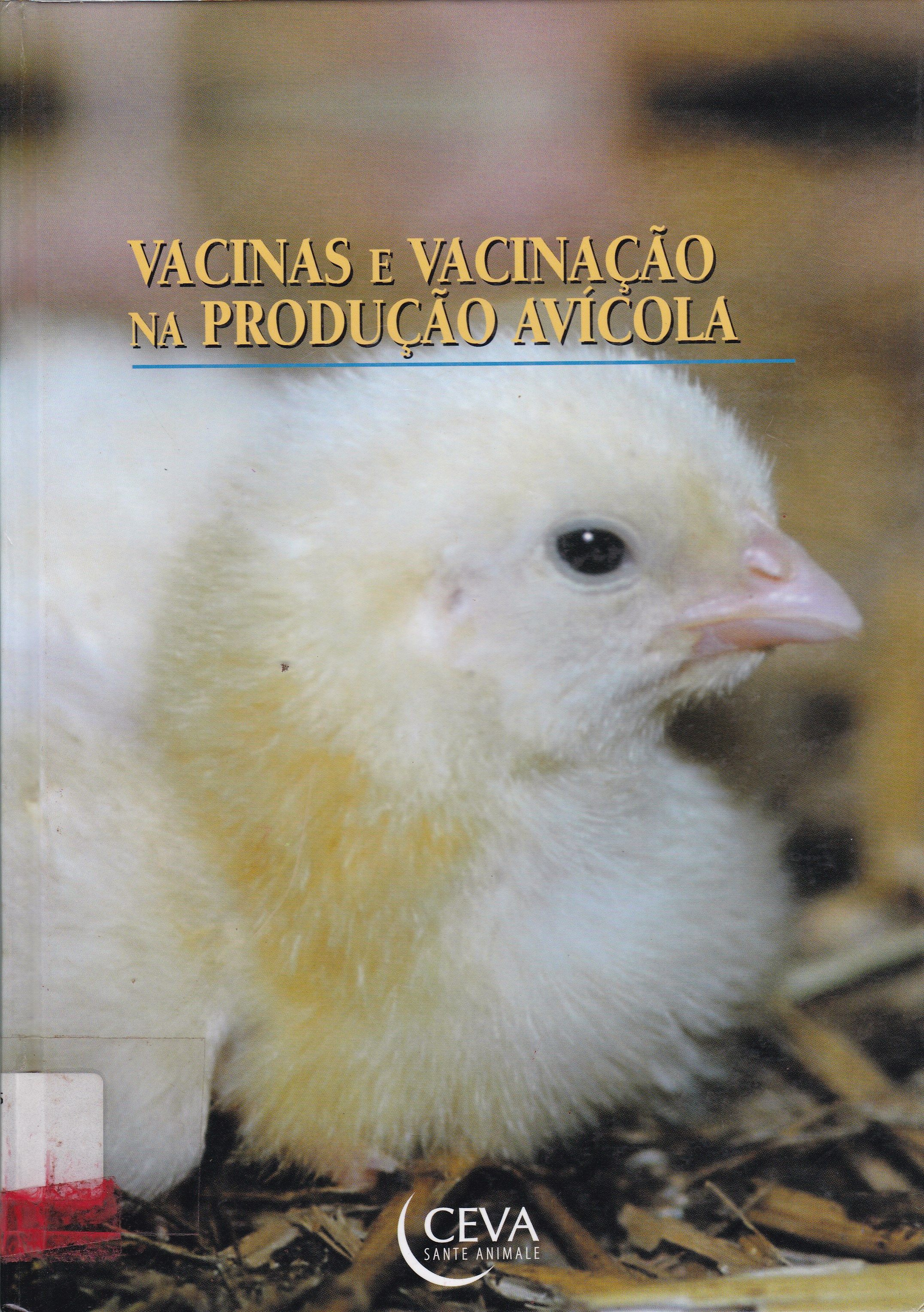 VACINAS E VACINAÇÃO NA PRODUÇÃO AVICOLA