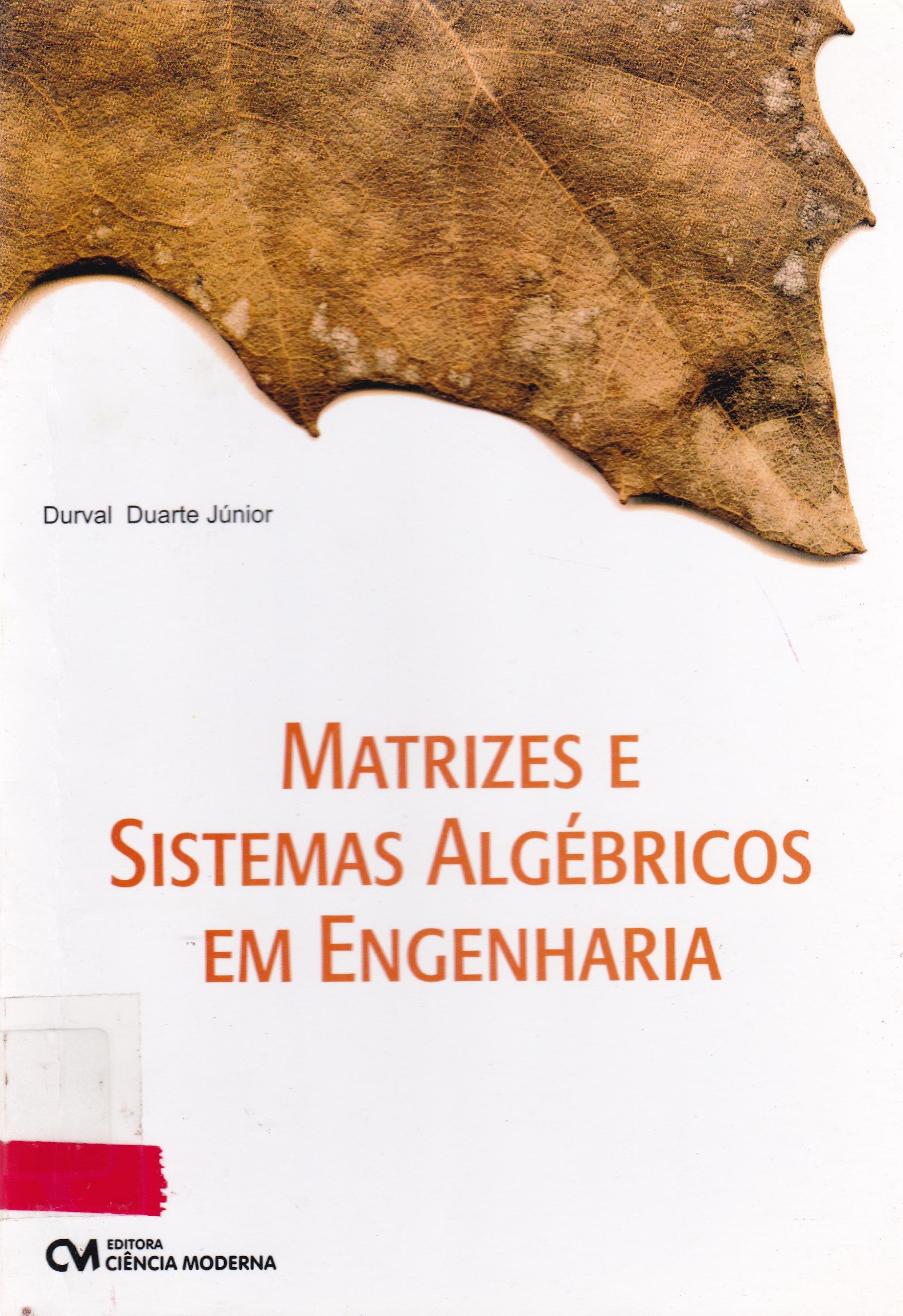 MATRIZES E SISTEMAS ALGÉBRICOS EM ENGENHARIA