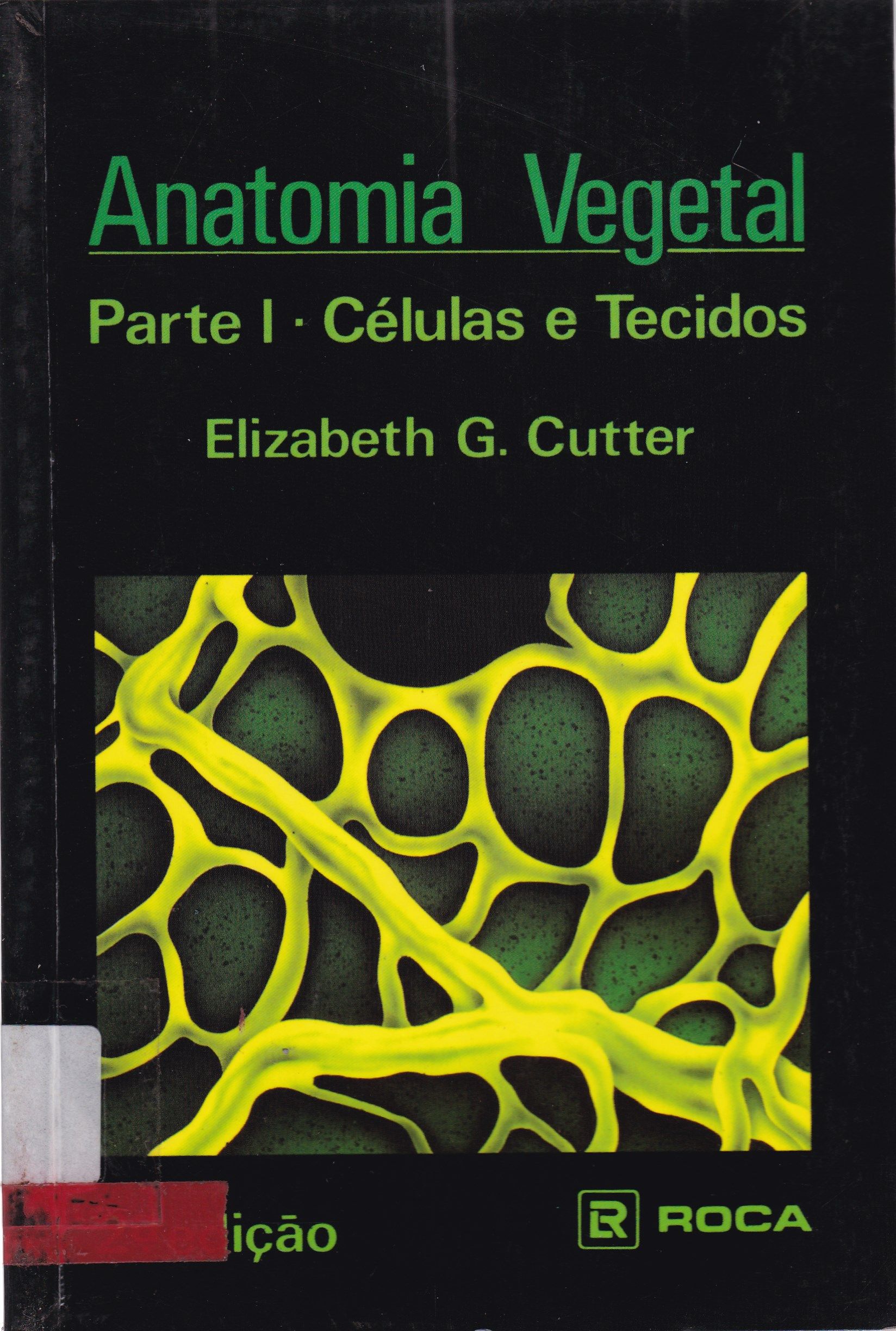 ANATOMIA VEGETAL: PARTE I: CÉLULAS E TECIDOS