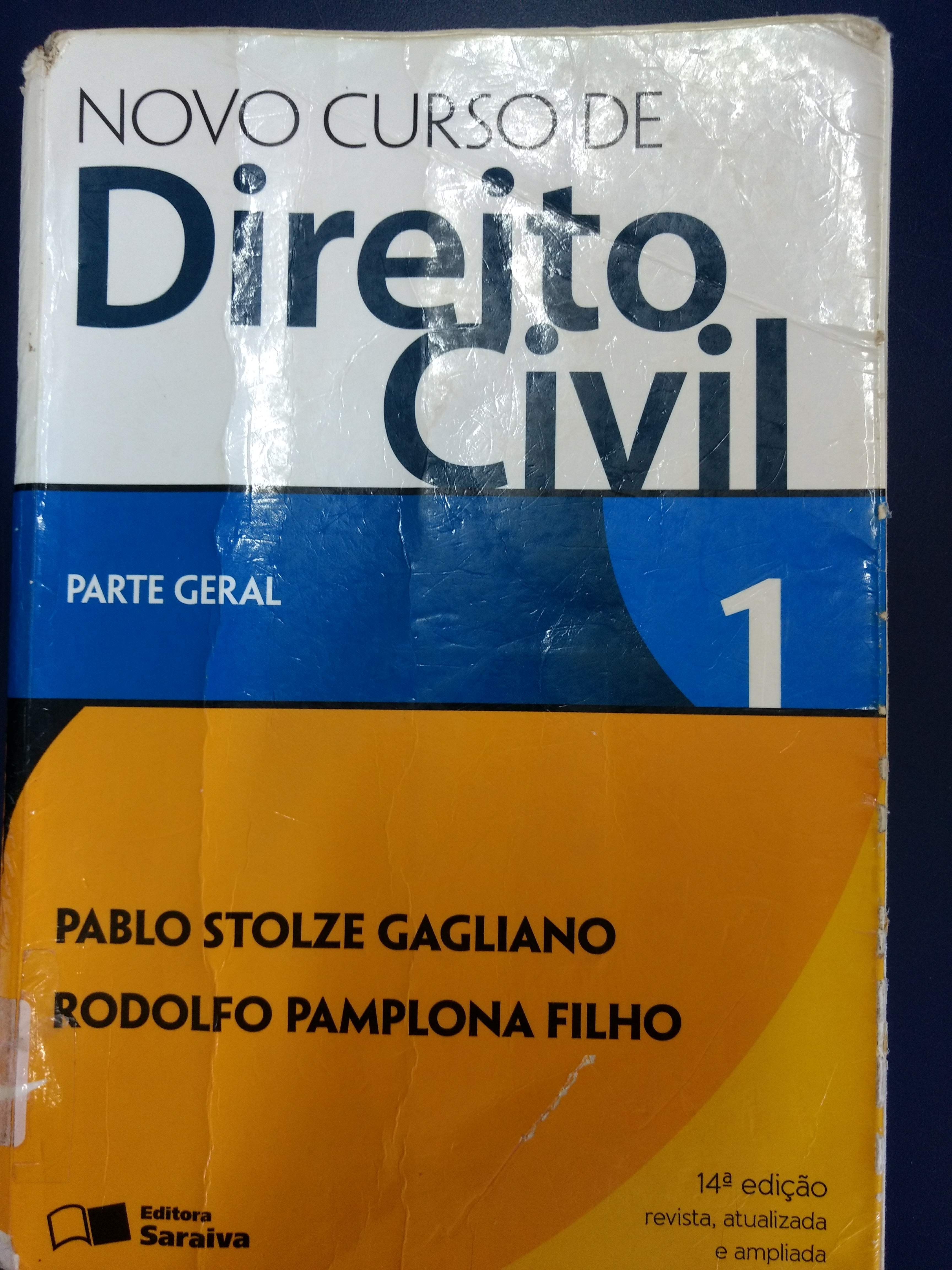 NOVO CURSO DE DIREITO CIVIL: PARTE GERAL - V. 1 