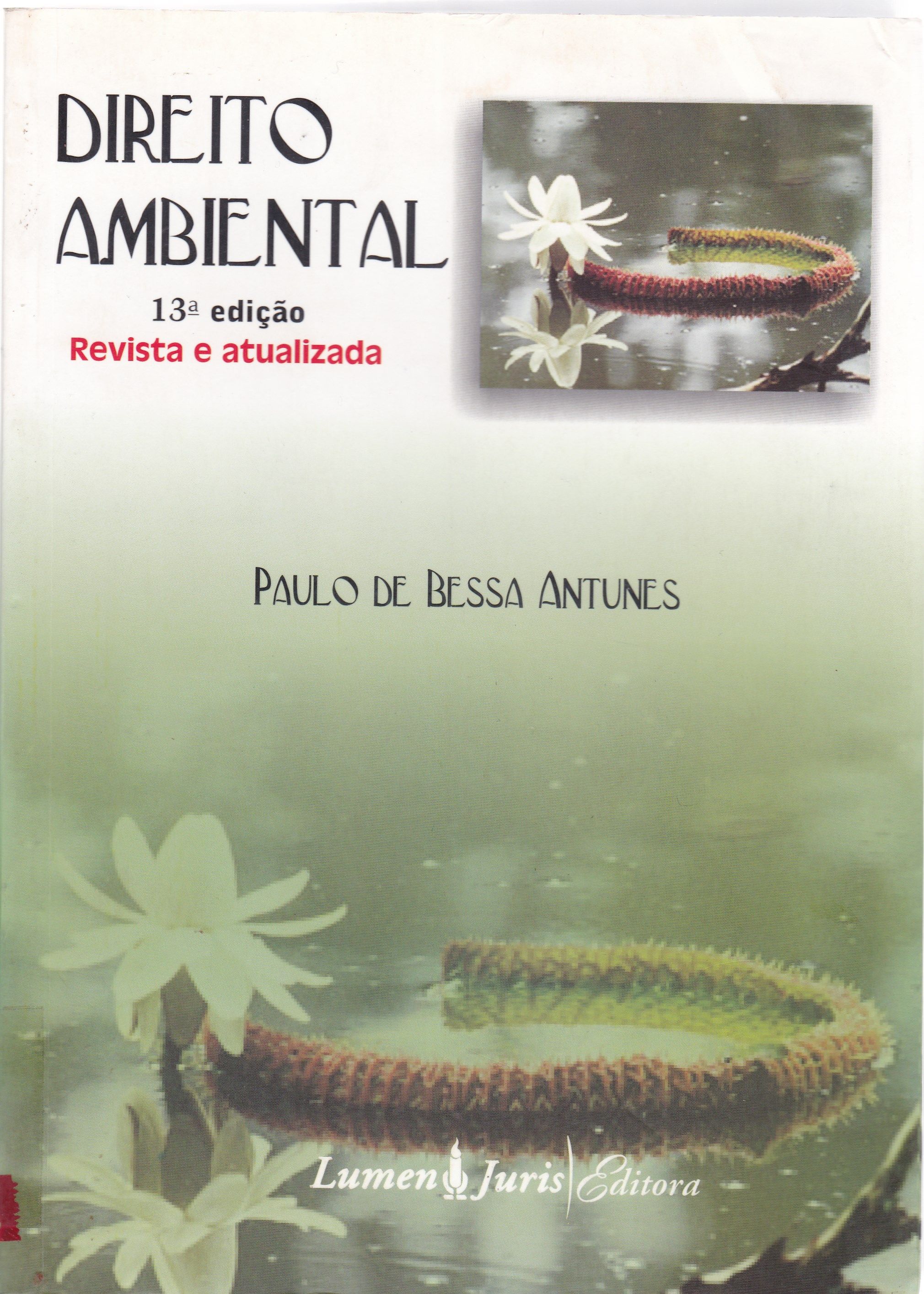 DIREITO AMBIENTAL