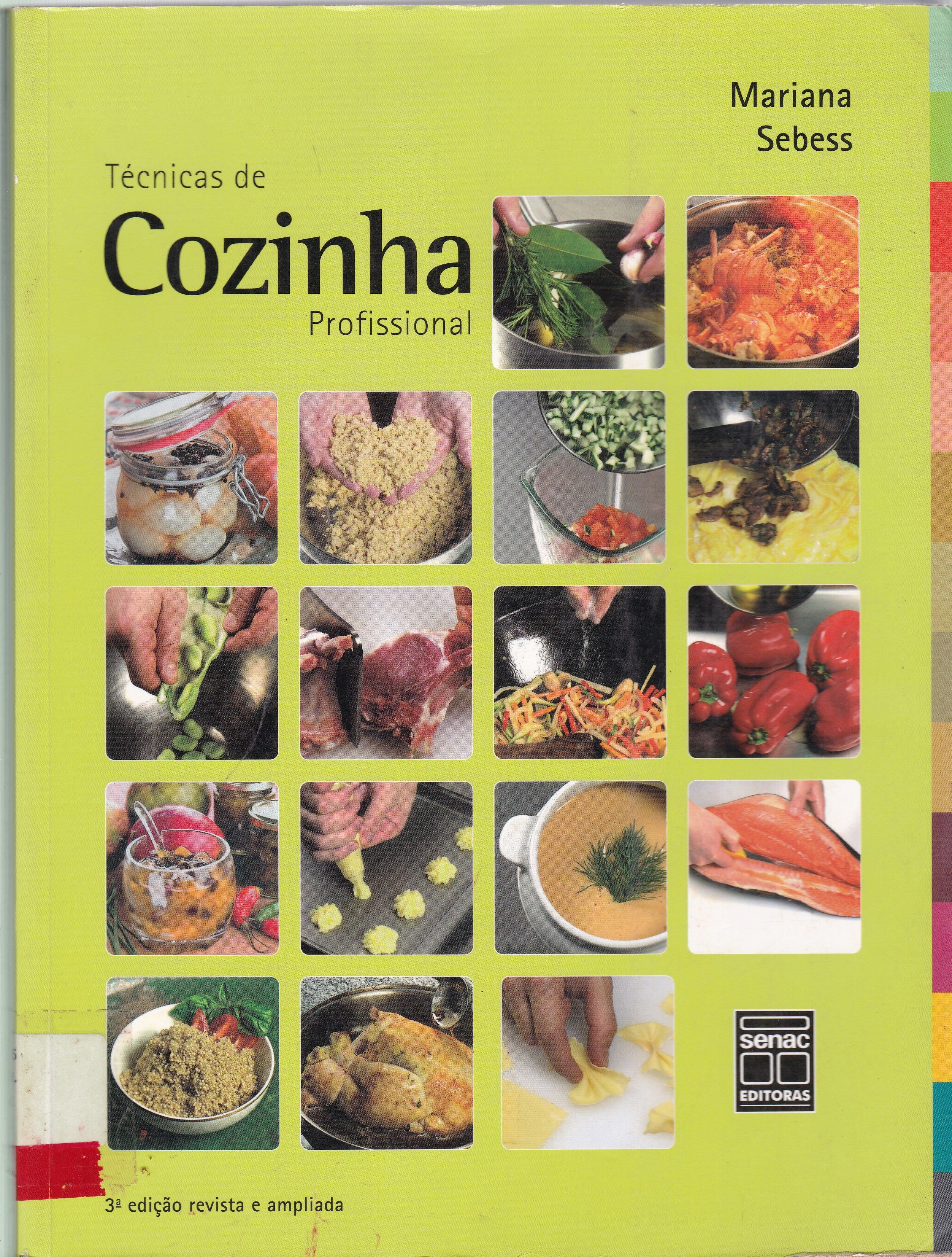 TÉCNICAS DE COZINHA PROFISSIONAL
