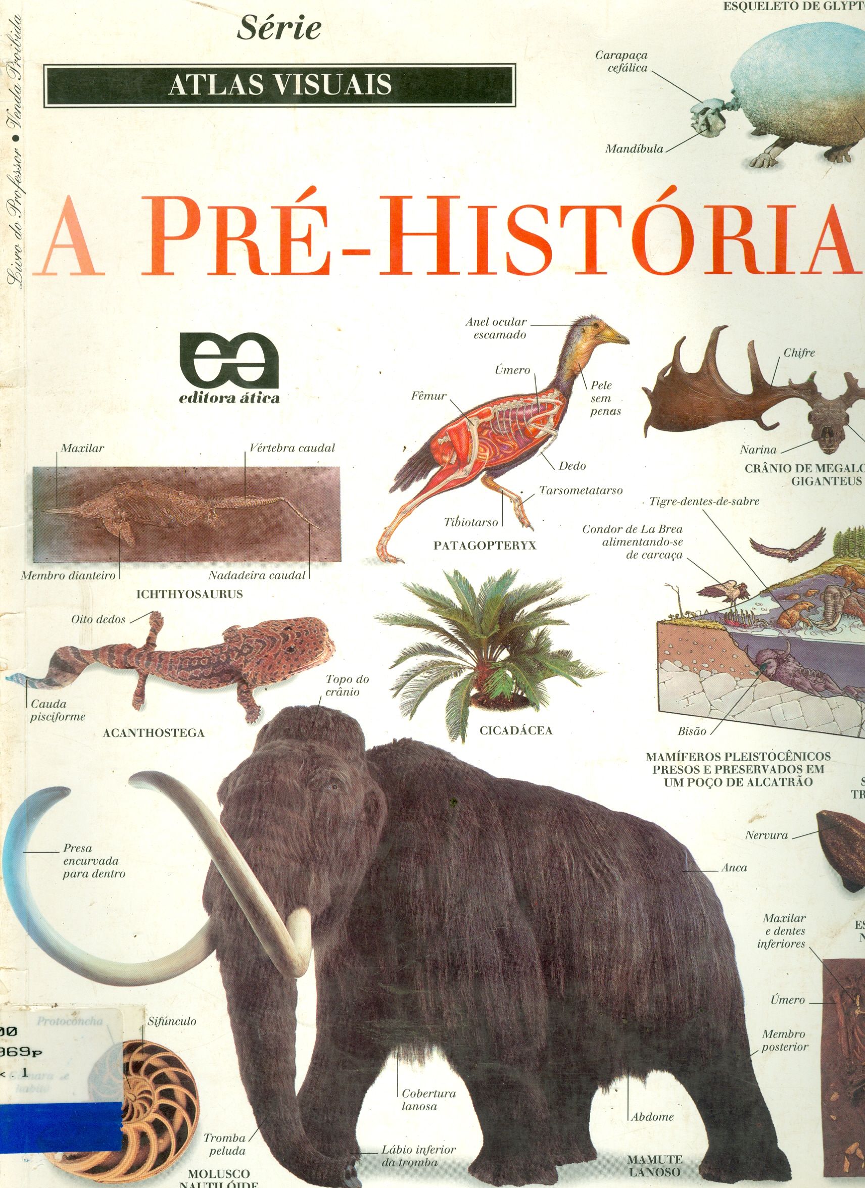 A PRÉ-HISTÓRIA
