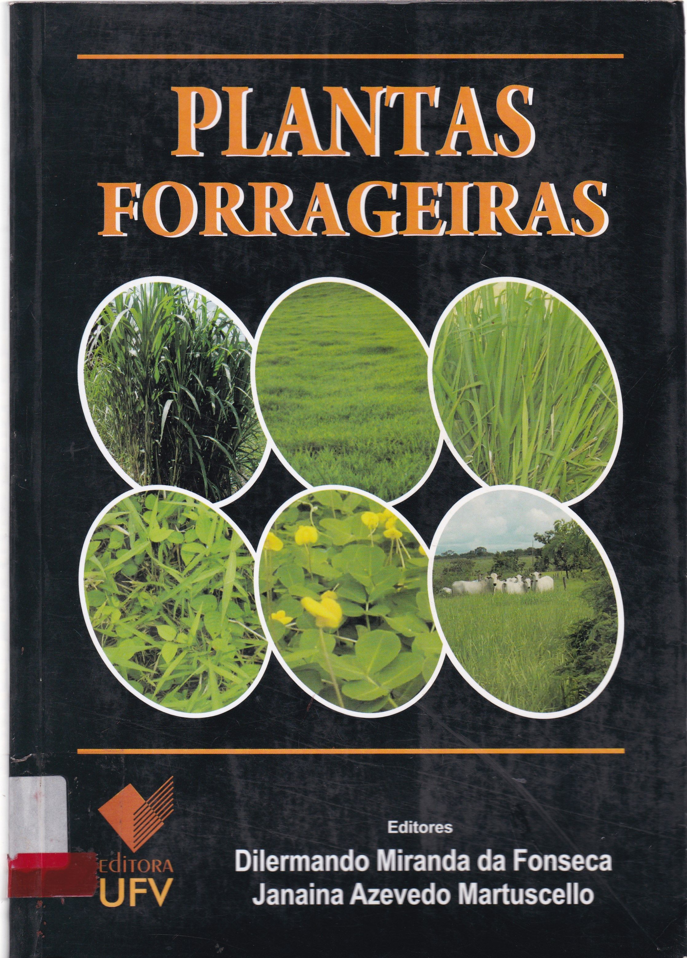 PLANTAS FORRAGEIRAS