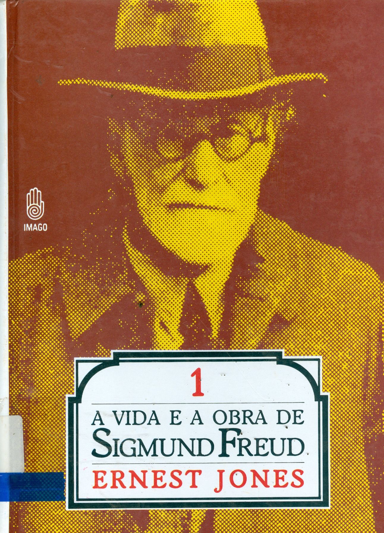 VIDA E A OBRA DE SIGMUND FREUD : OS ANOS DE FORMAÇÃO E AS GRANDES DESCOBERTAS 1856 - 1900 , A
