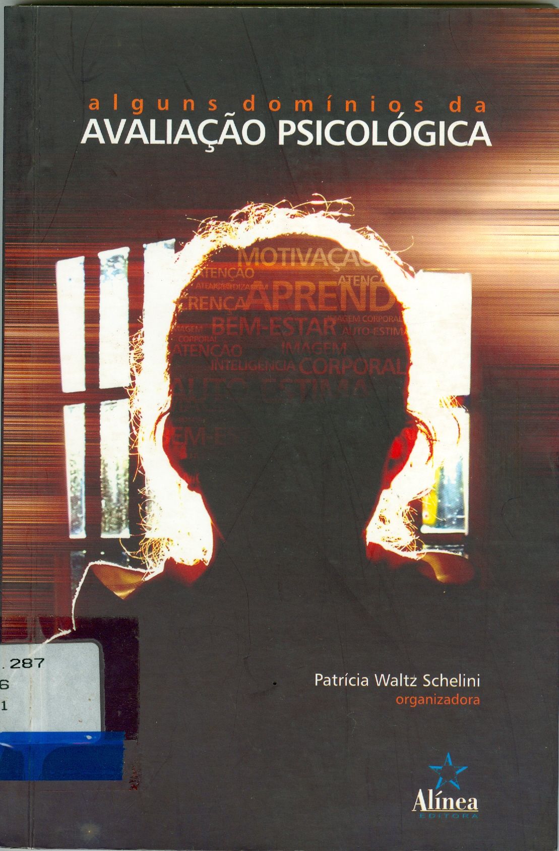 ALGUNS DOMÍNIOS DA AVALIAÇÃO PSICOLÓGICA