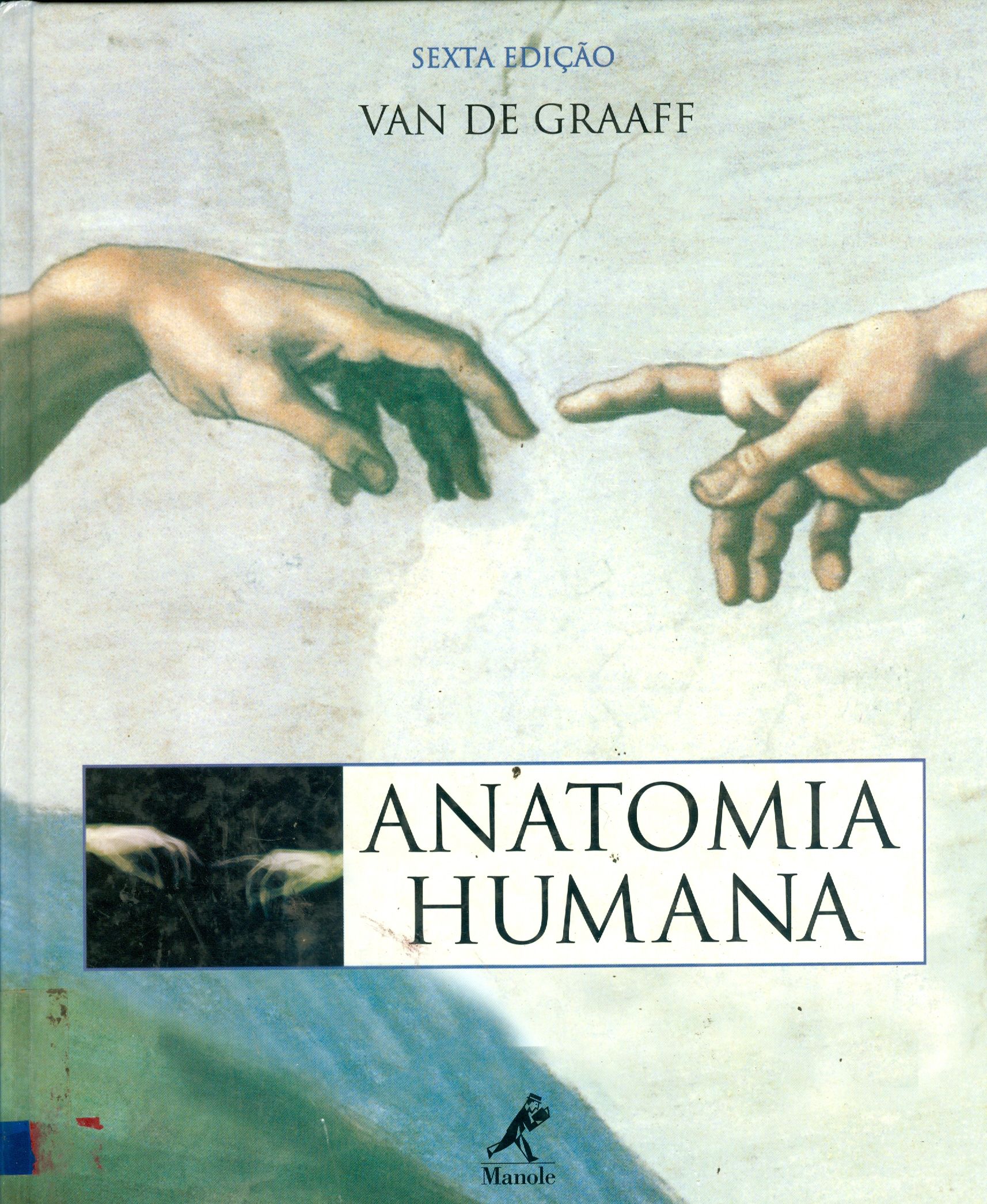ANATOMIA HUMANA