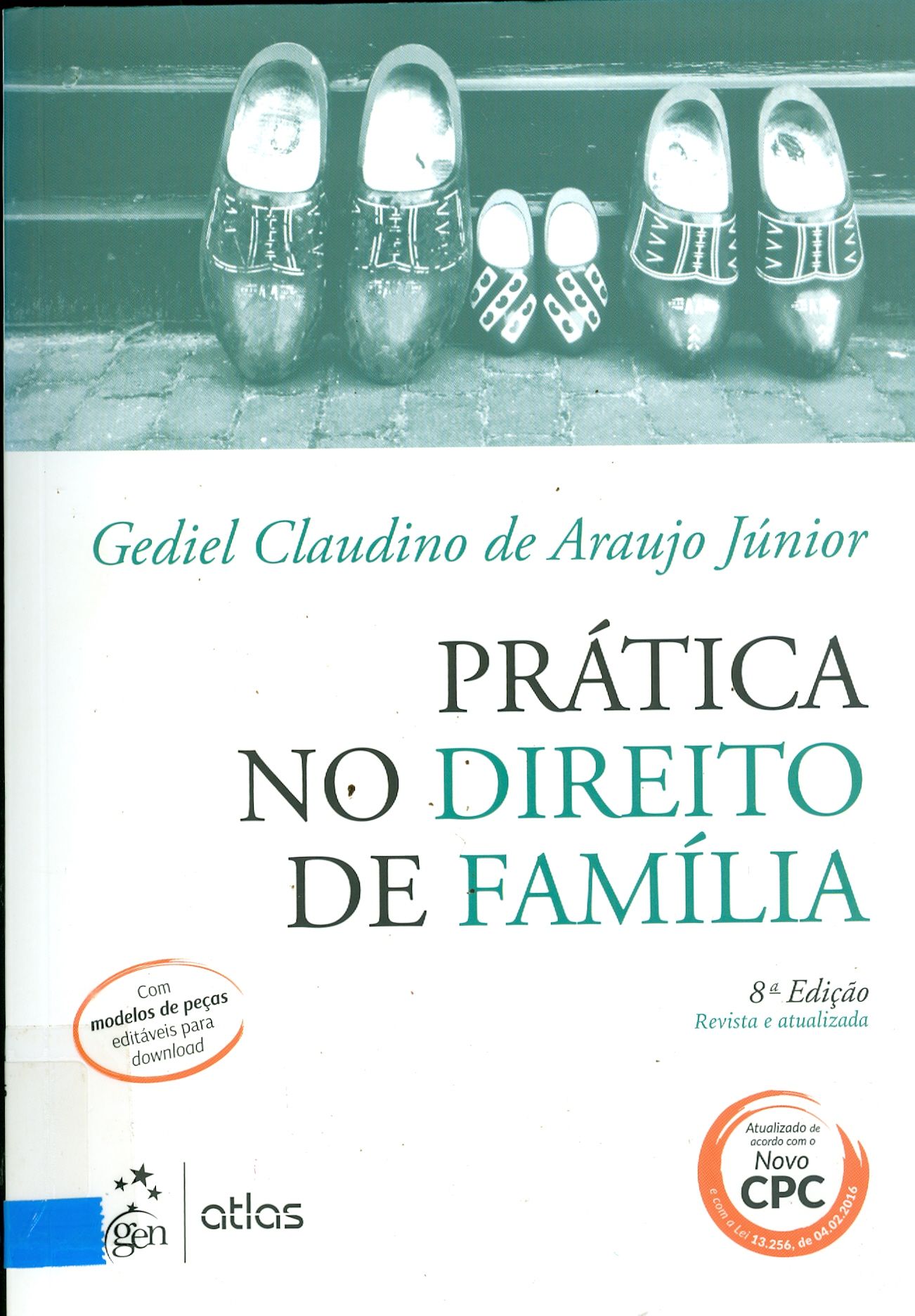 PRÁTICA NO DIREITO DE FAMÍLIA