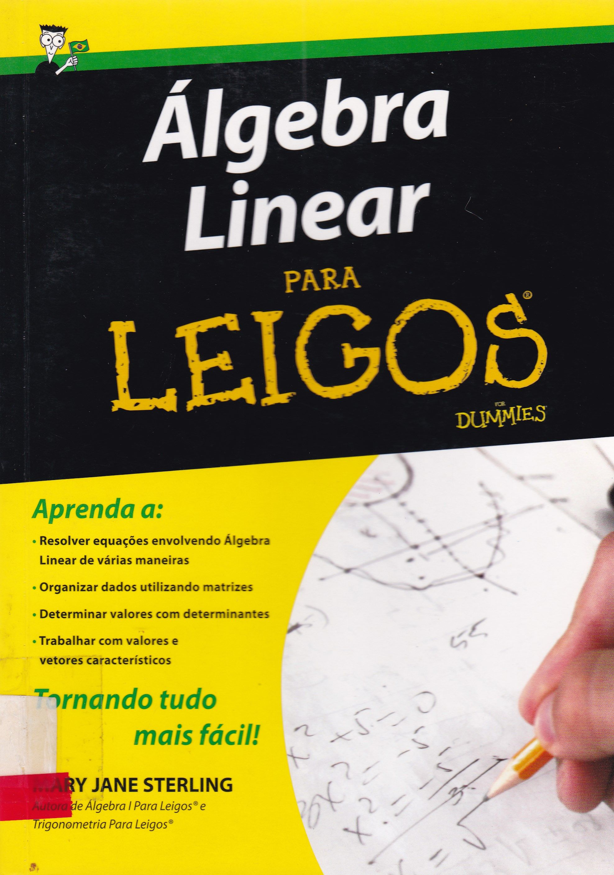 ÁLGEBRA LINEAR PARA LEIGOS