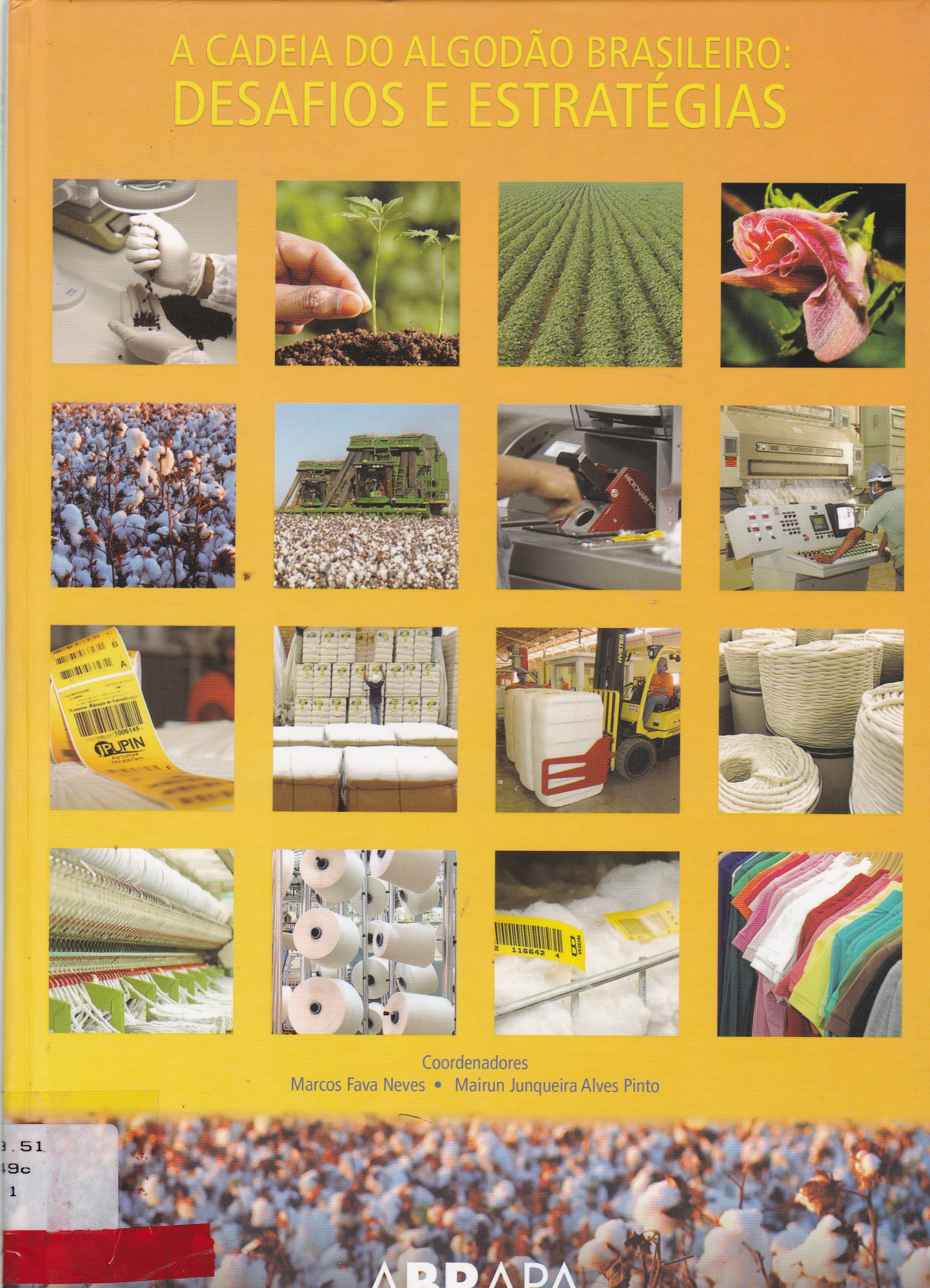 CADEIA DO ALGODÃO BRASILEIRO: DESAFIOS E ESTRATÉGIAS, A