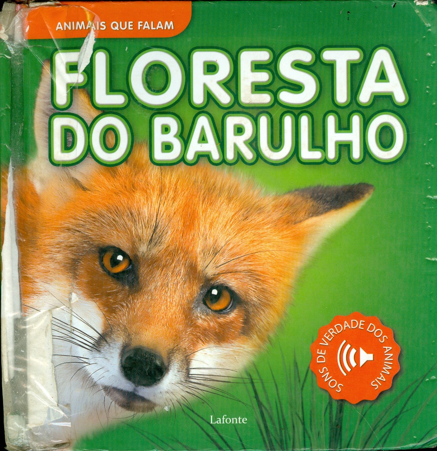 FLORESTA DO BARULHO