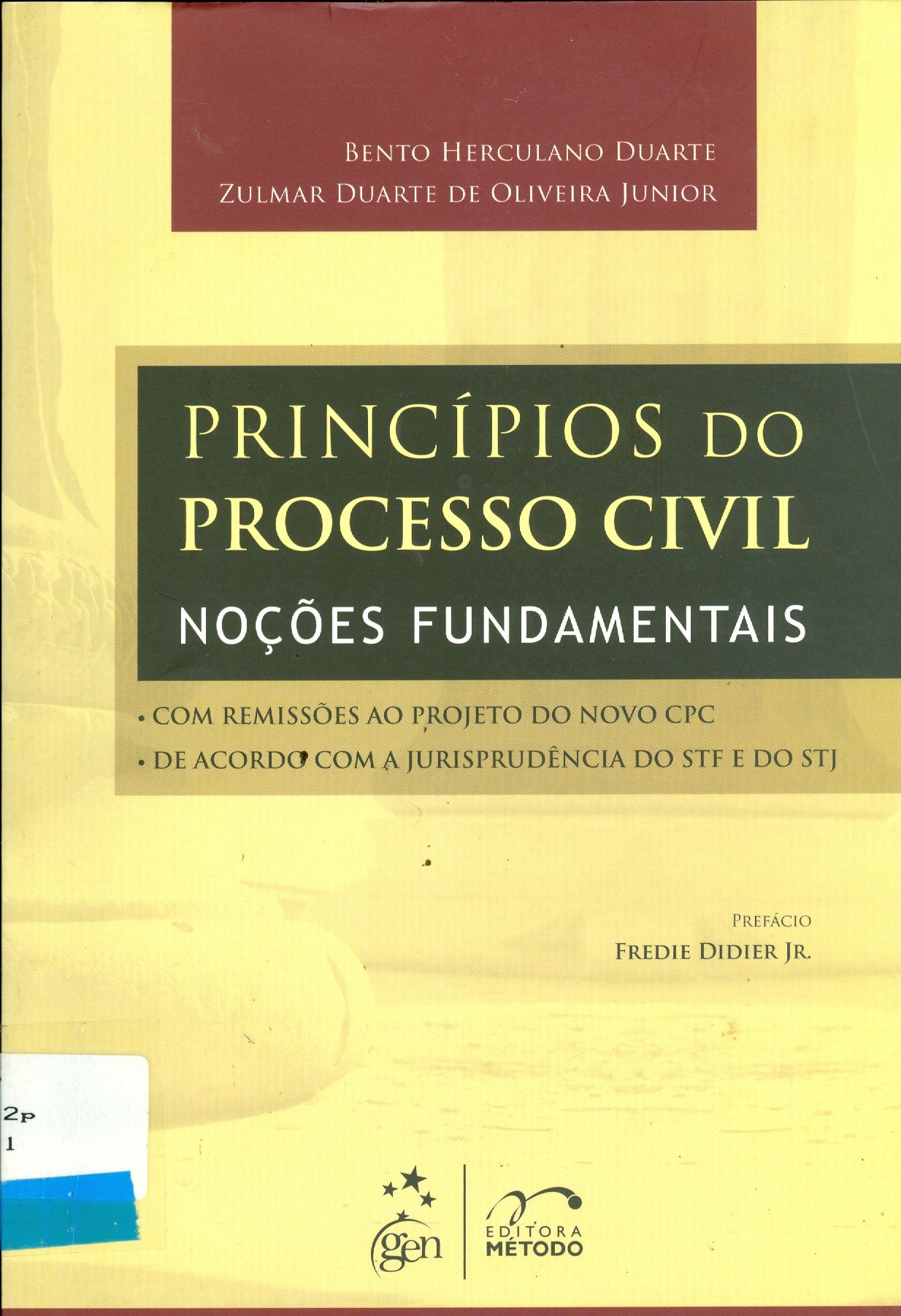 PRINCÍPIOS DO PROCESSO CIVIL: NOÇÕES FUNDAMENTAIS: COM REMISSÕES AO PROJETO DO NOVO CPC, DE ACORDO COM A JURISPRUDÊNCIA DO STF E DO STJ