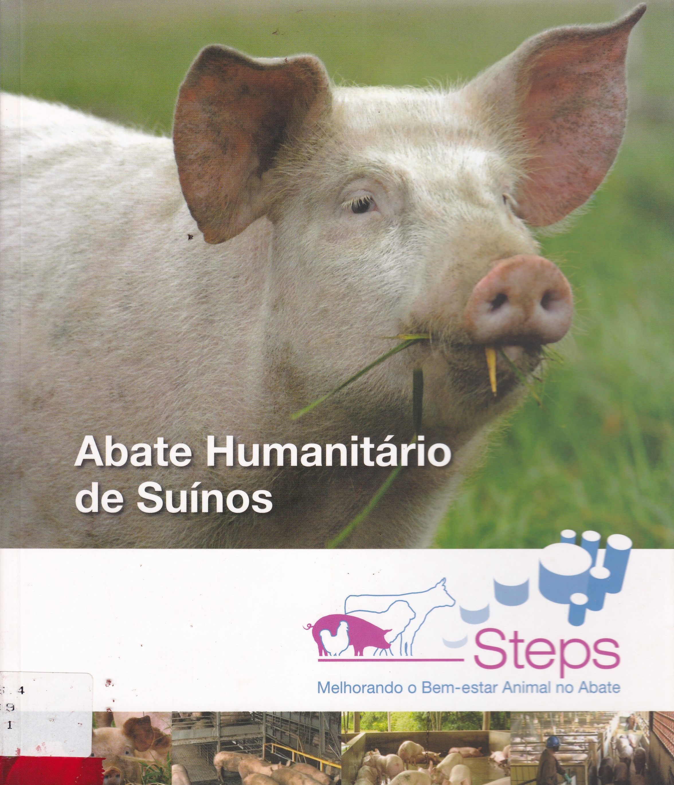 ABATE HUMANITÁRIO DE SUÍNOS