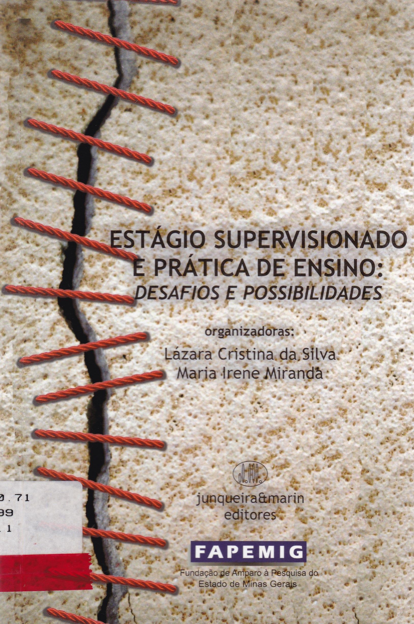 ESTÁGIO SUPERVISIONADO E PRÁTICA DE ENSINO: DESAFIOS E POSSIBILIDADES