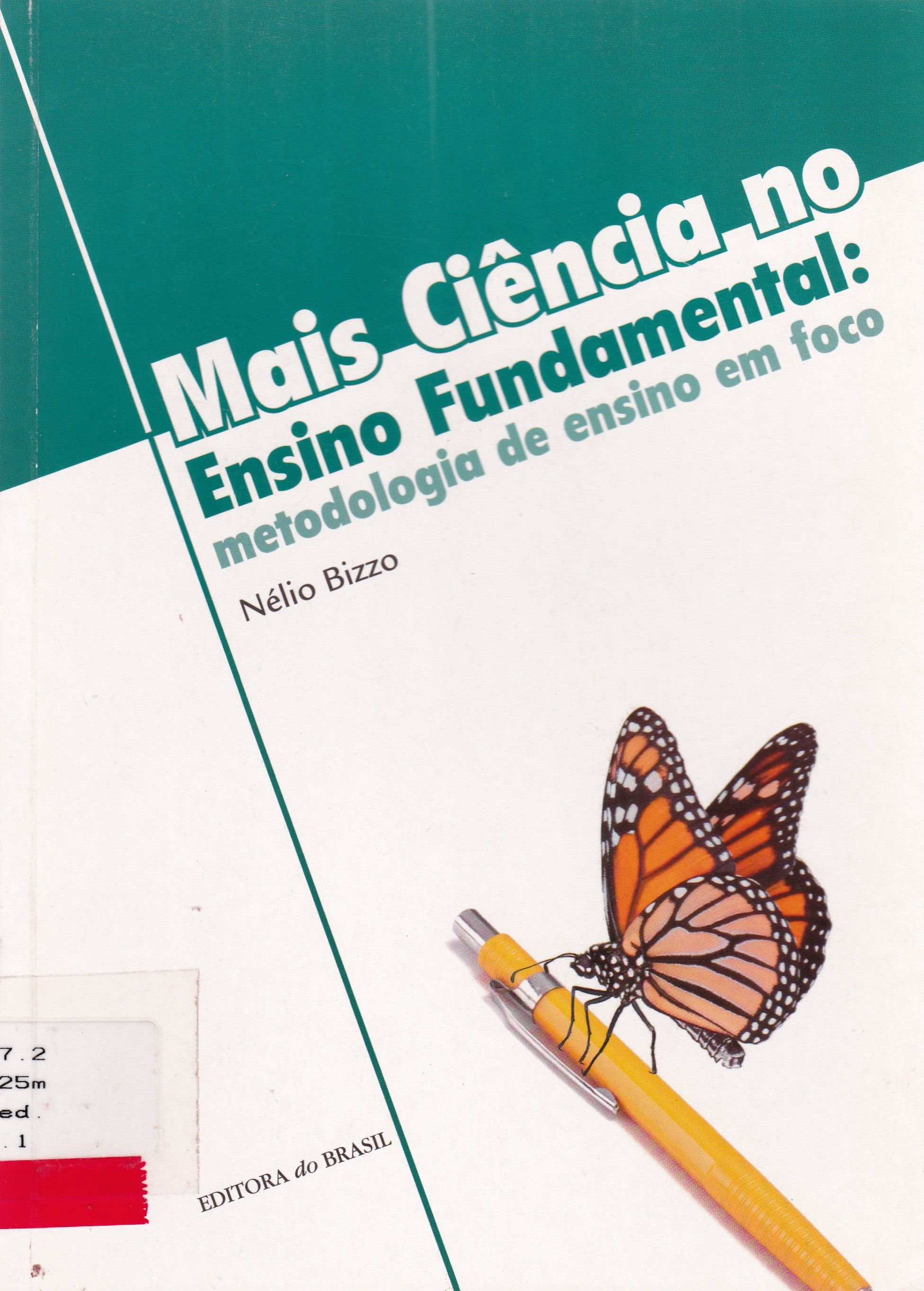 MAIS CIÊNCIA NO ENSINO FUNDAMENTAL: METODOLOGIA DE ENSINO EM FOCO