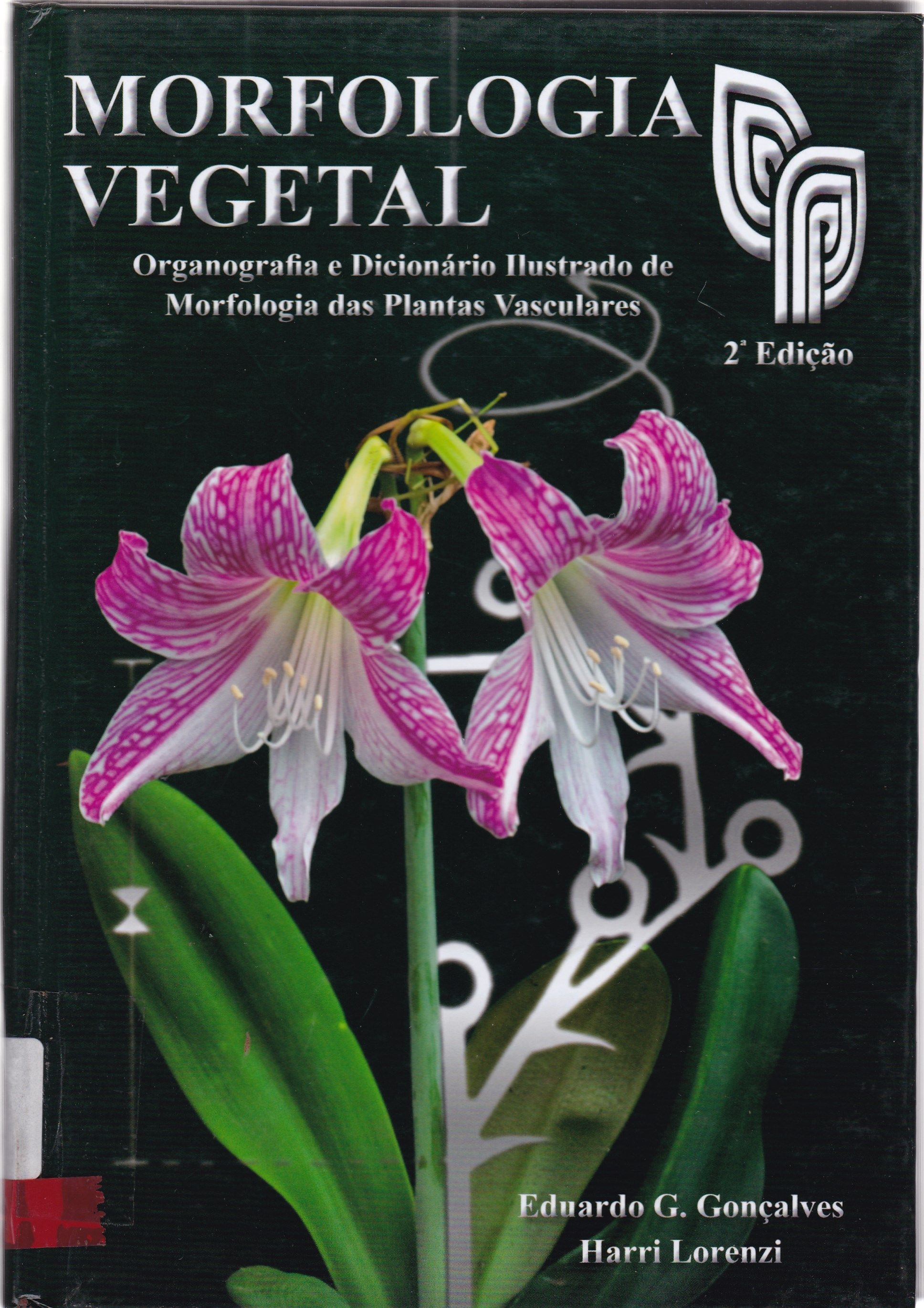 MORFOLOGIA VEGETAL: ORGANOGRAFIA E DICIONÁRIO ILUSTRADO DE MORFOLOGIA DAS PLANTAS VASCULARES