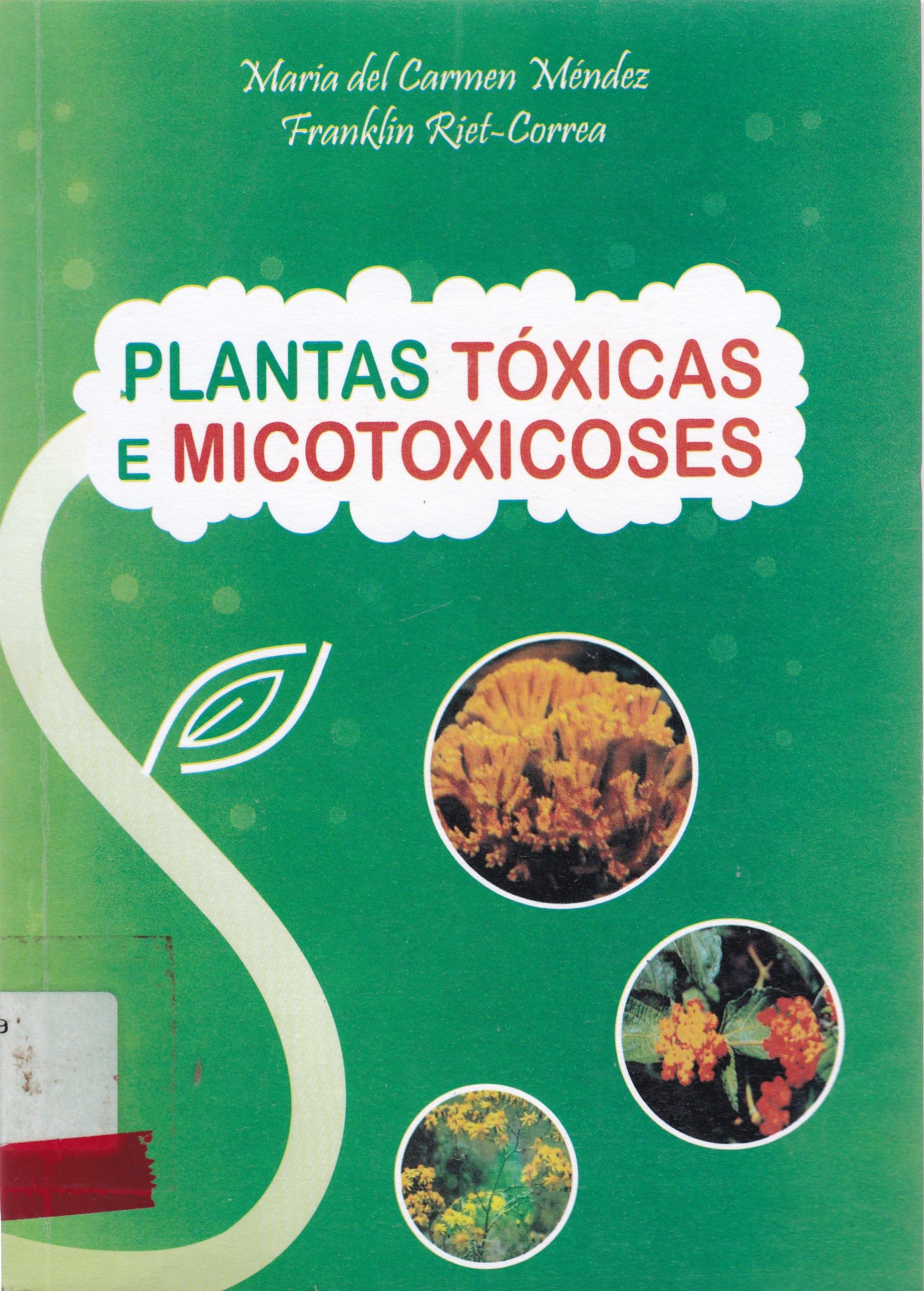 PLANTAS TÓXICAS E MICOTOXICOSES