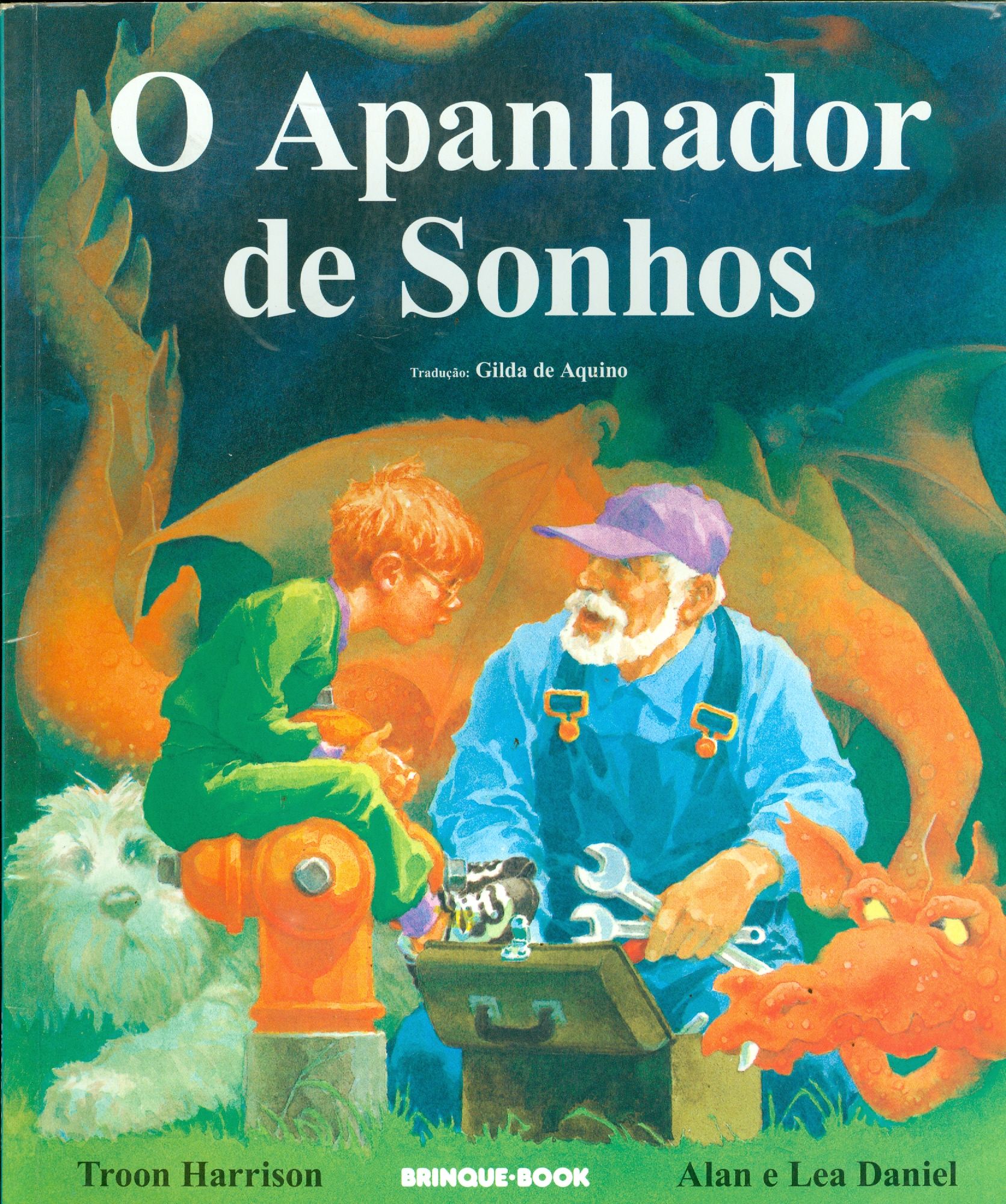 APANHADOR DE SONHOS, O
