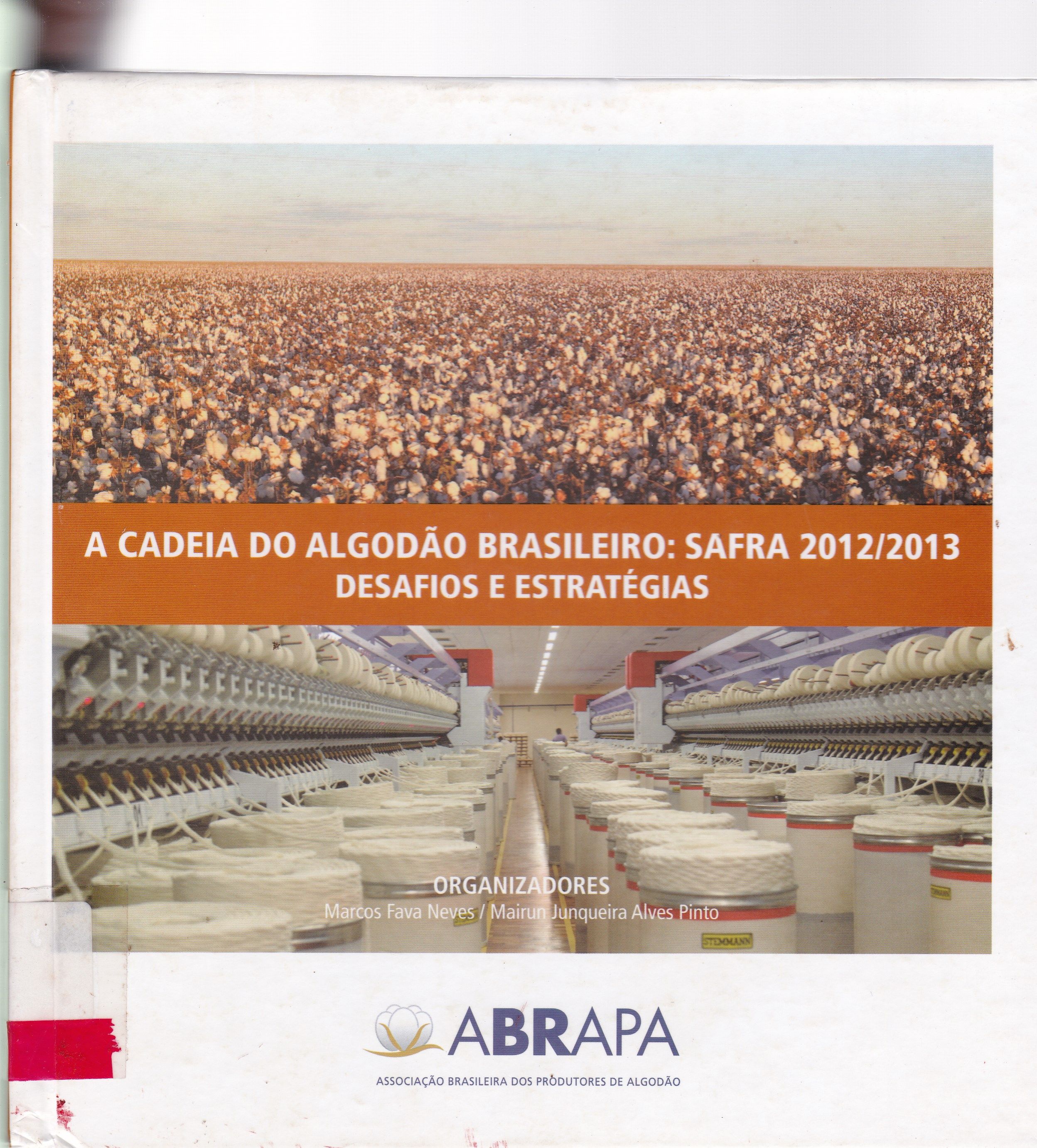 CADEIA DO ALGODÃO BRASILEIRO: DESAFIOS E ESTRATÉGIAS, A